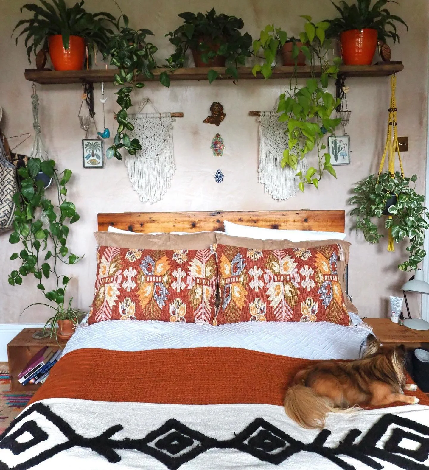 ✦ Happy Sunday HDS fam! We hope you&rsquo;re wrapped up in warm and staying out of the storm 🌨We just wanted to jump on to let you know that our popular Turkish cushions now come in a new size which is officially live on site! Our 45 x 70 CM cushion