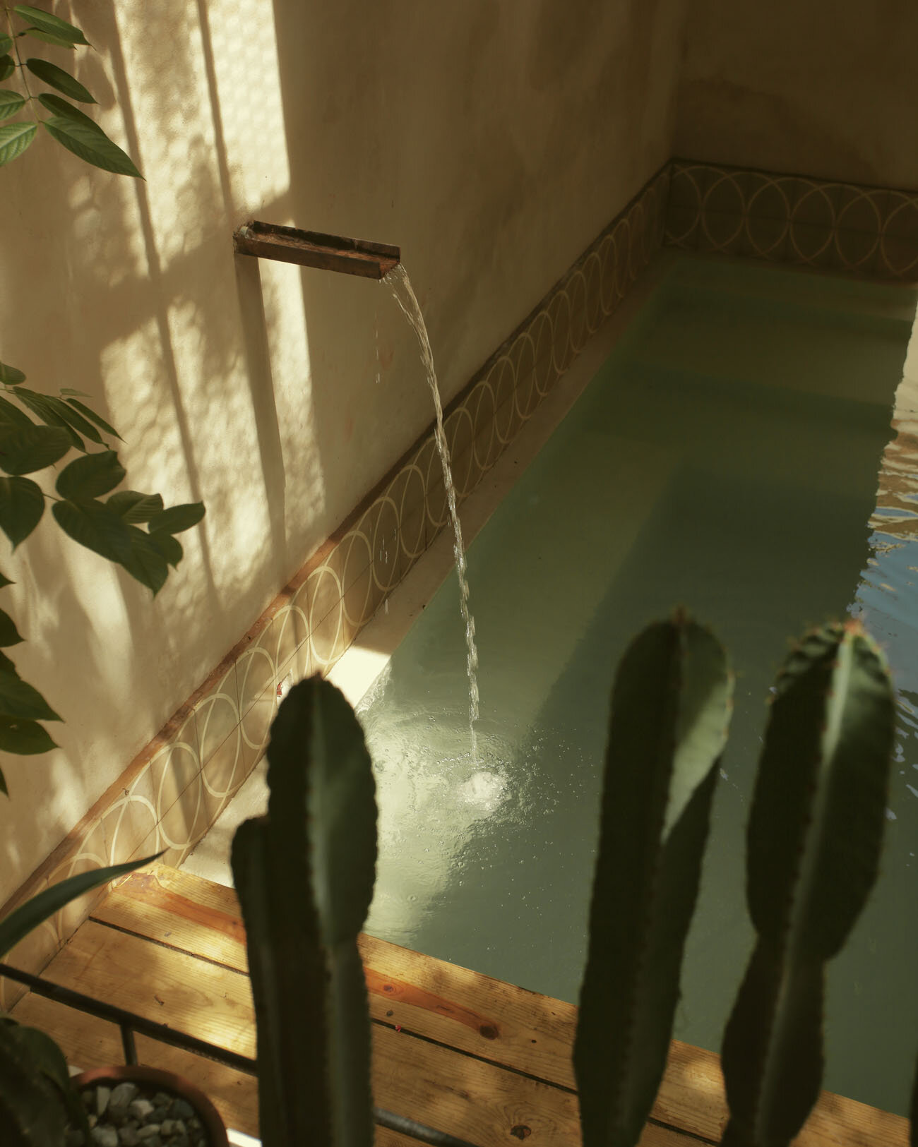 Hotel-Weekend-Barefoot-Luxury- Fixie-Lofts-Santo-Domingo-CActus-Pool.jpg