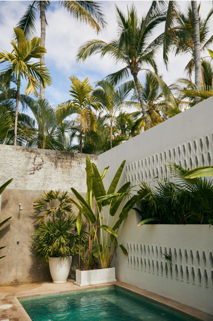 Kaju Green — Hôtel Weekend | Barefoot Luxury for the Modern Nomad