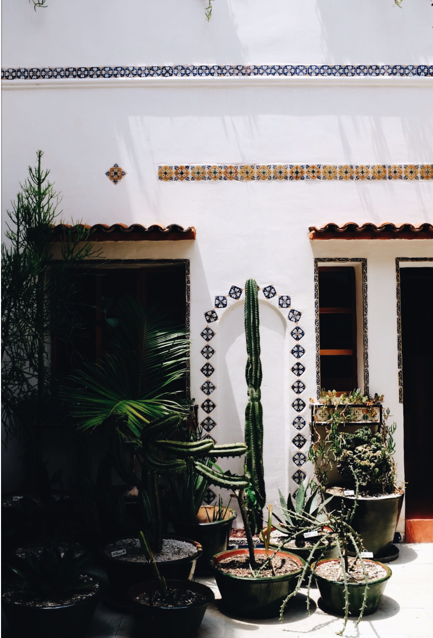 Hotel-Weekend-Barefoot-Luxury-Grana-B&B-Oaxaca-Patio-Plants.png
