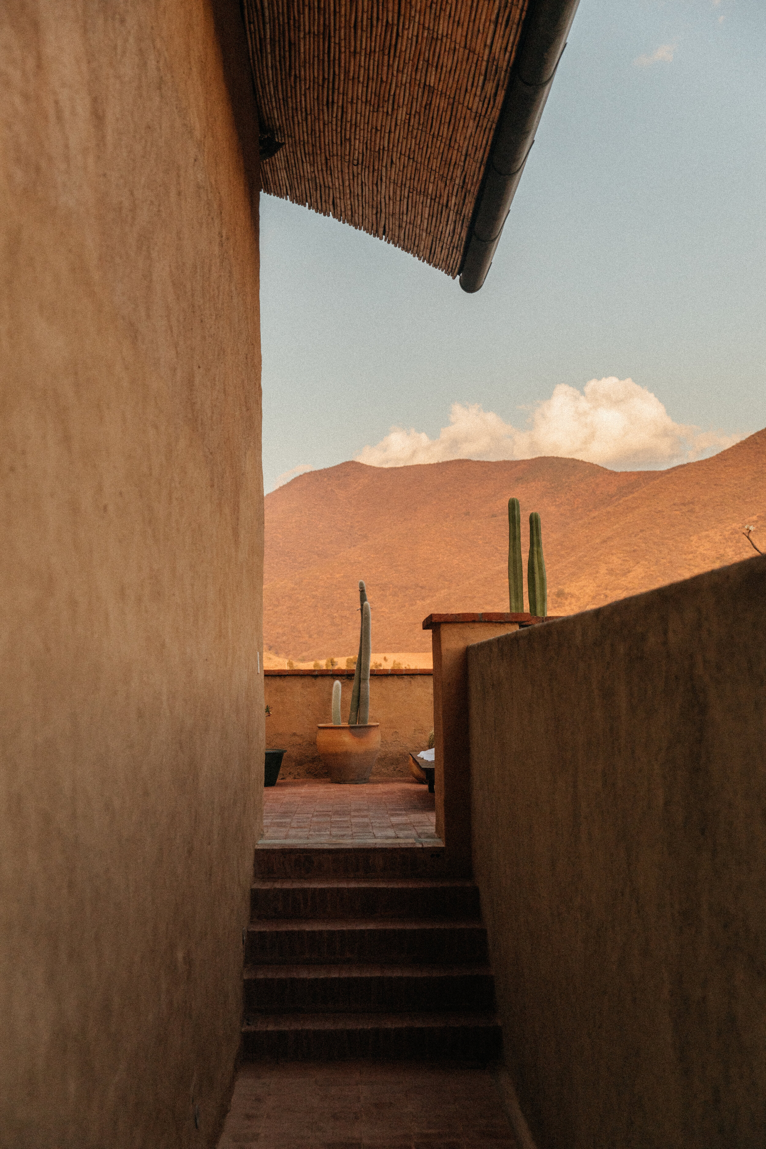 Hotel_Weekend-BArefoot-Luxury-Casa-bicu-Oaxaca-Details-cactus-mountains.jpg