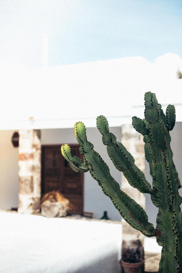 Hotel-Weekend.Barefoot-luxury-casa-nube-blanca-the-house-cactus.jpeg