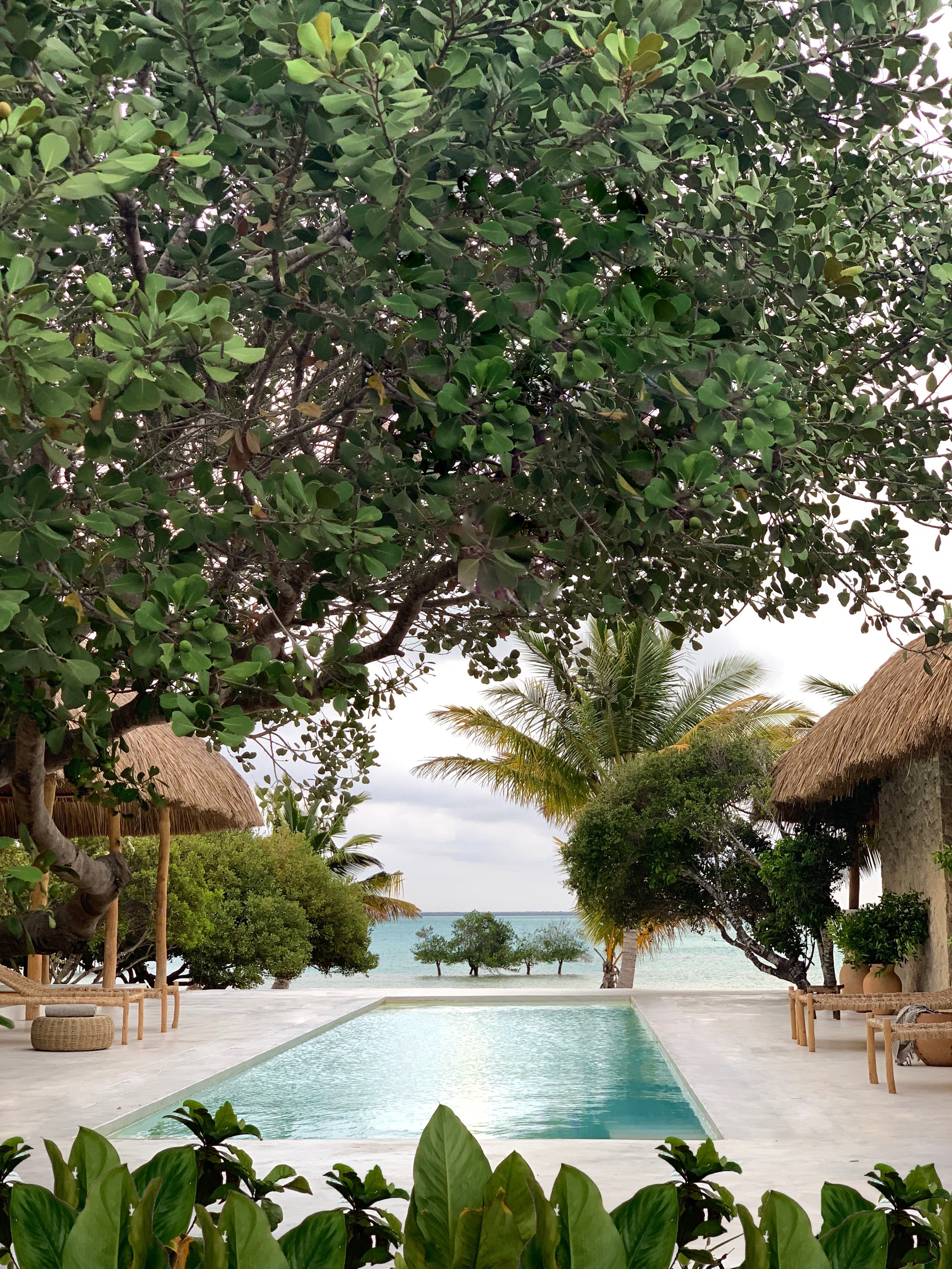 Hotel-Weekend-Barefoot-Luxury-sussurro pool foliage.jpg