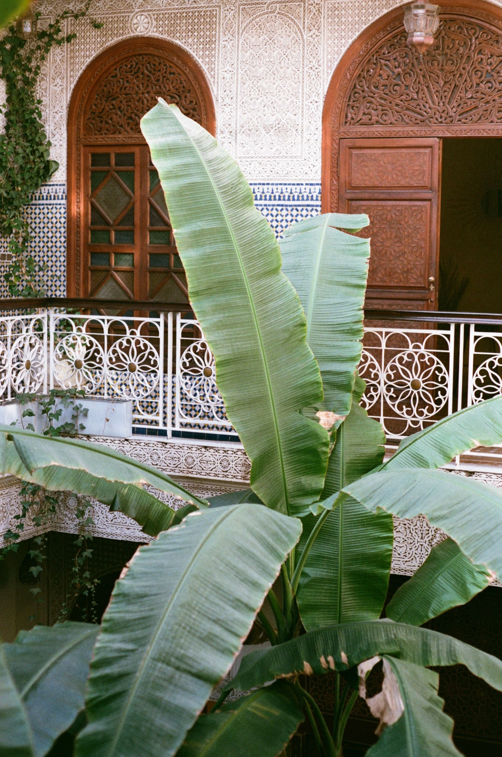 Hotel-Weekend-Barefoot-Luxury-Riad-Jardin-Secret-nature.jpeg