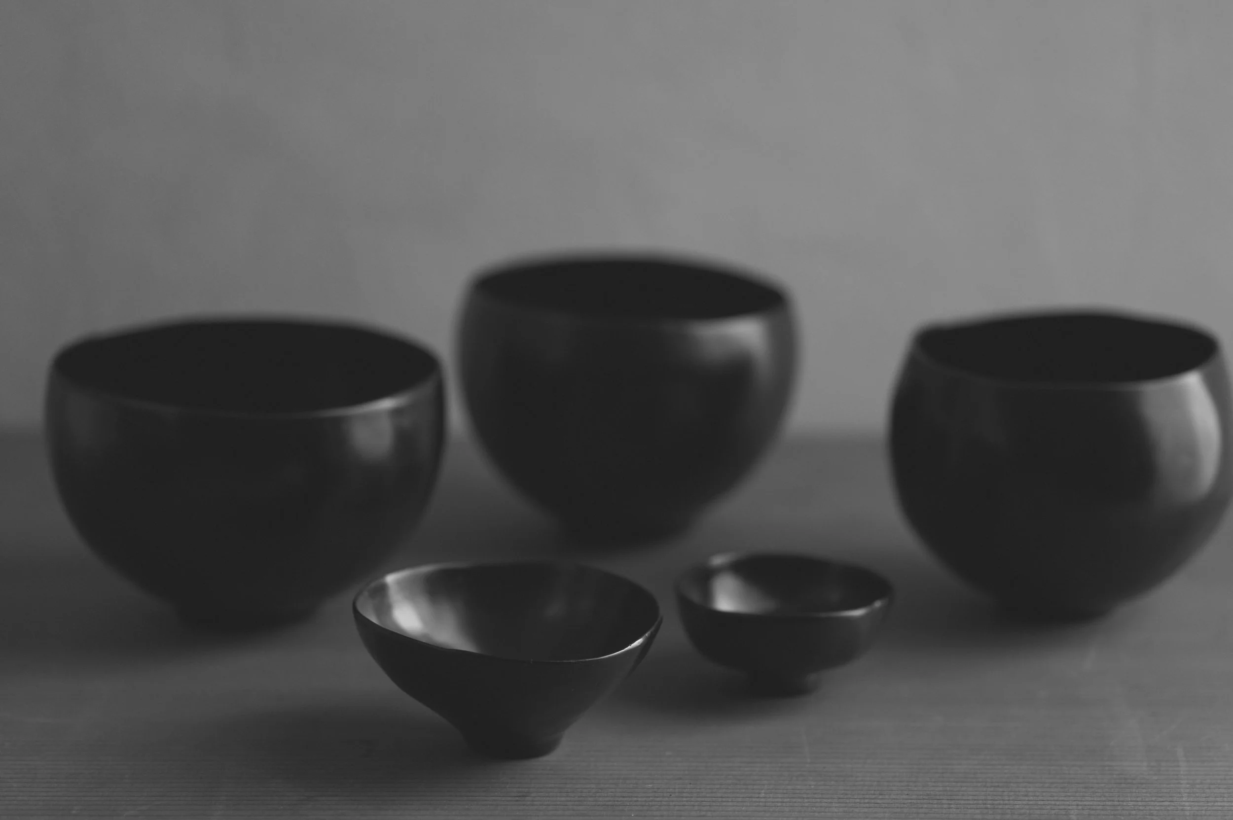 L1081310.jpg