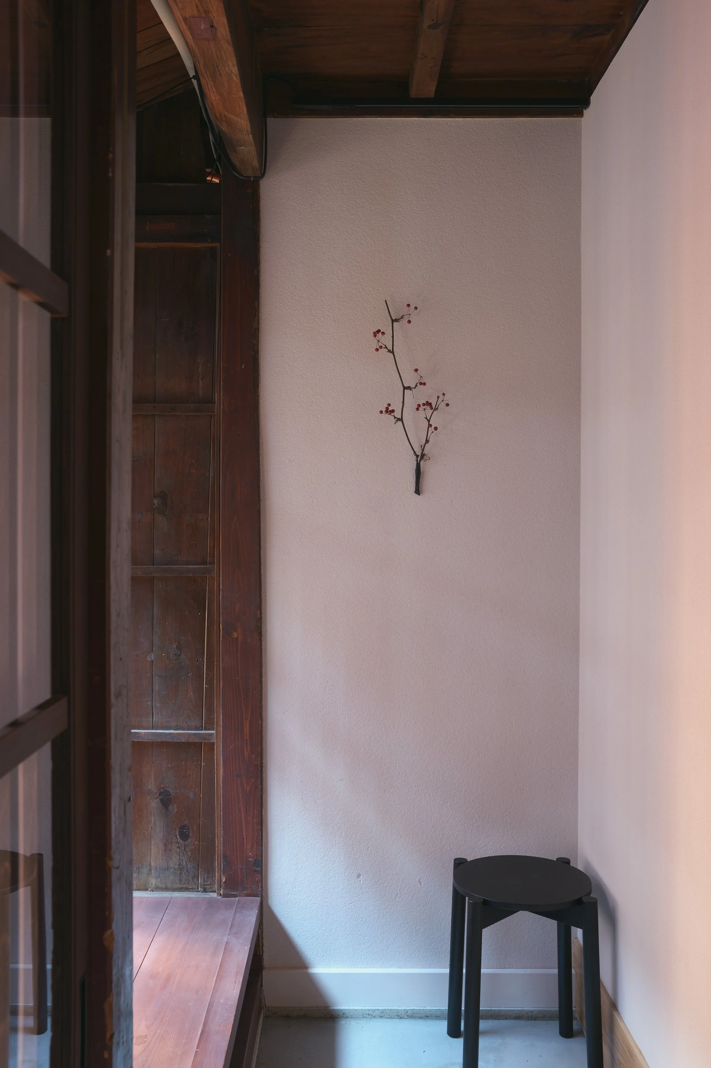L1100717.jpg