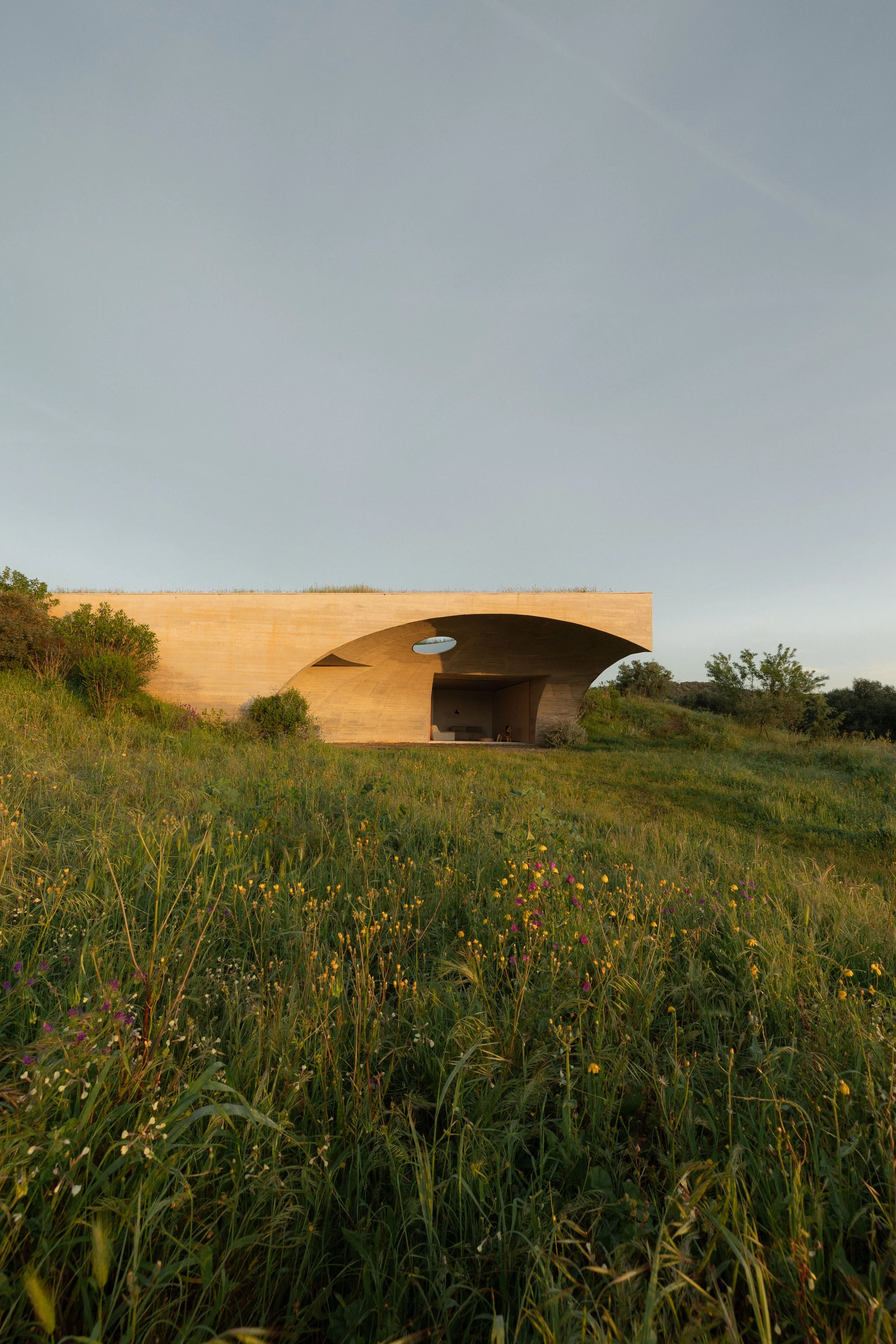 anna-roschatt-cntr-sl-1.jpg