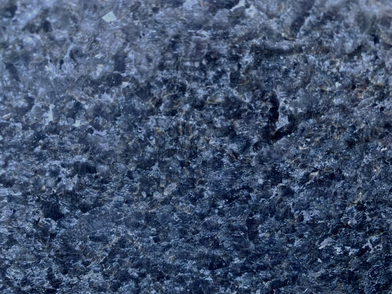 Black Pearl Leathered close up