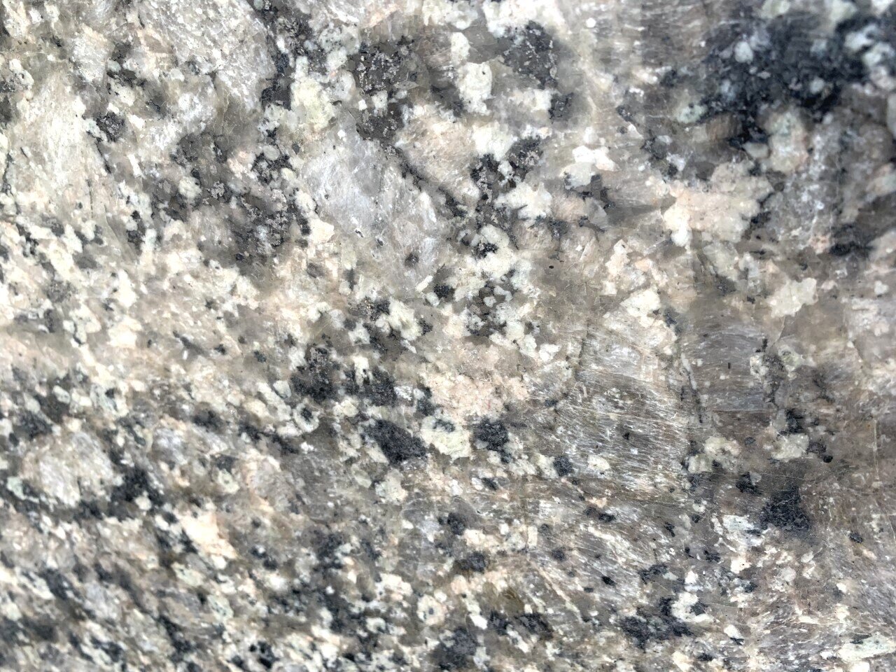 Verde Fusion close up