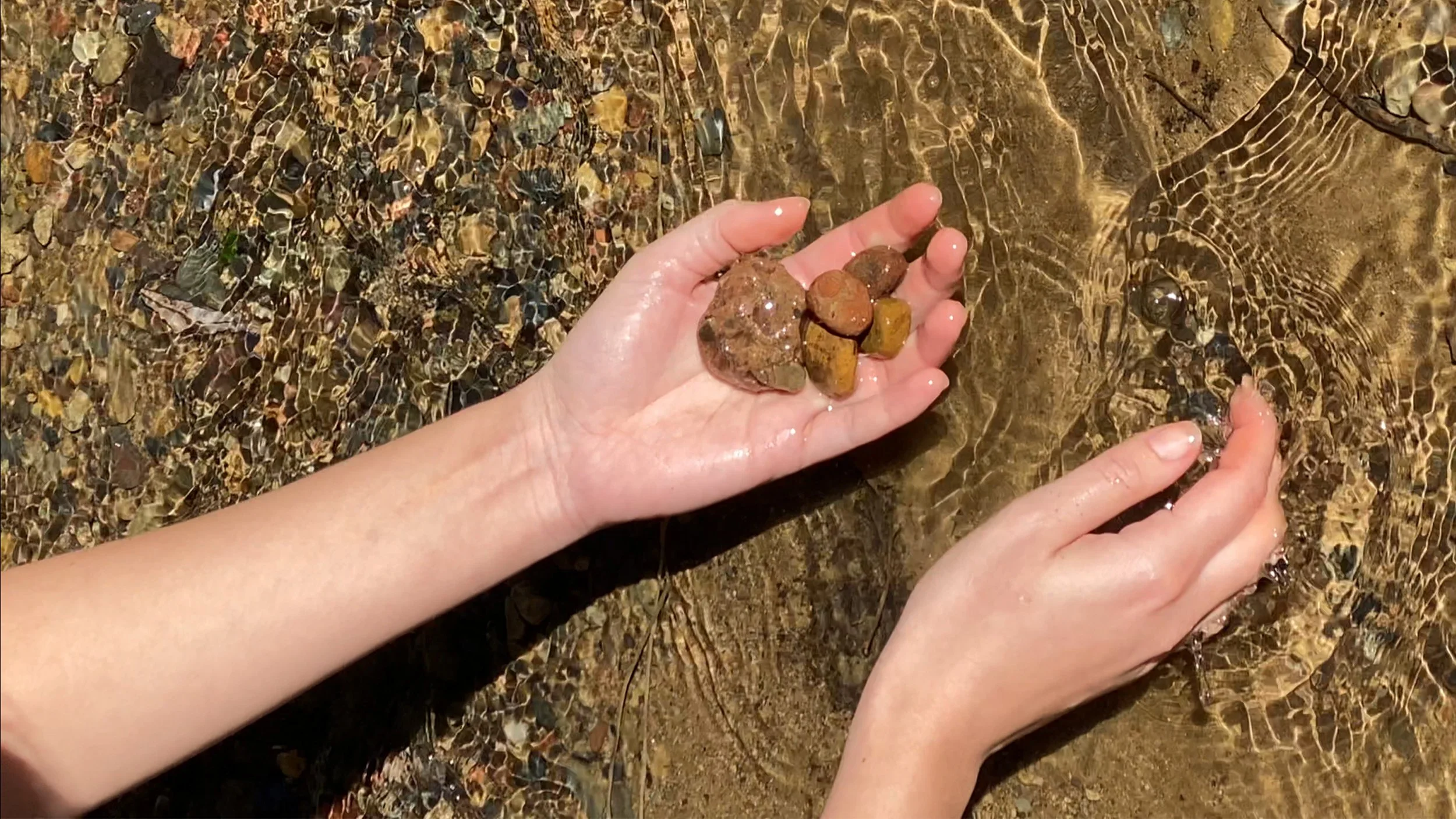 hands collecting 2.jpg