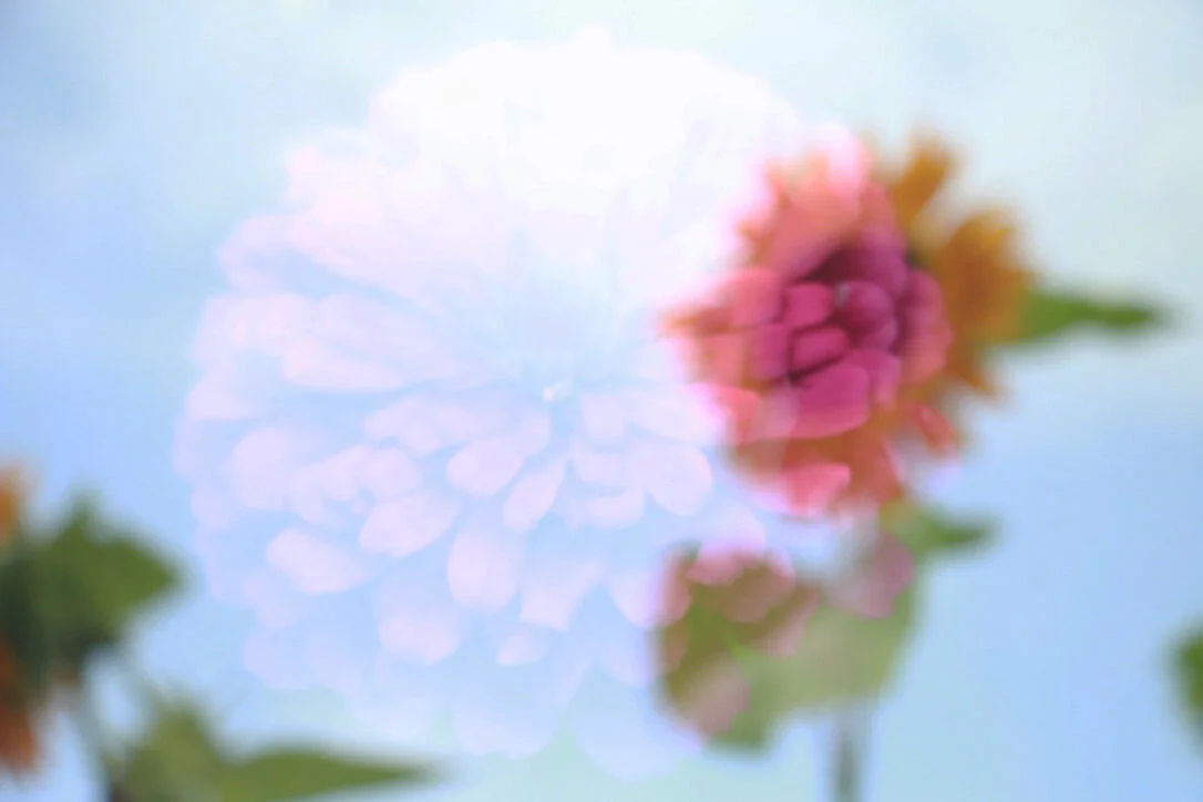 0A65E8B6-0163-4C4A-A71F-EDFE0518DA2A_1_105_c.jpg