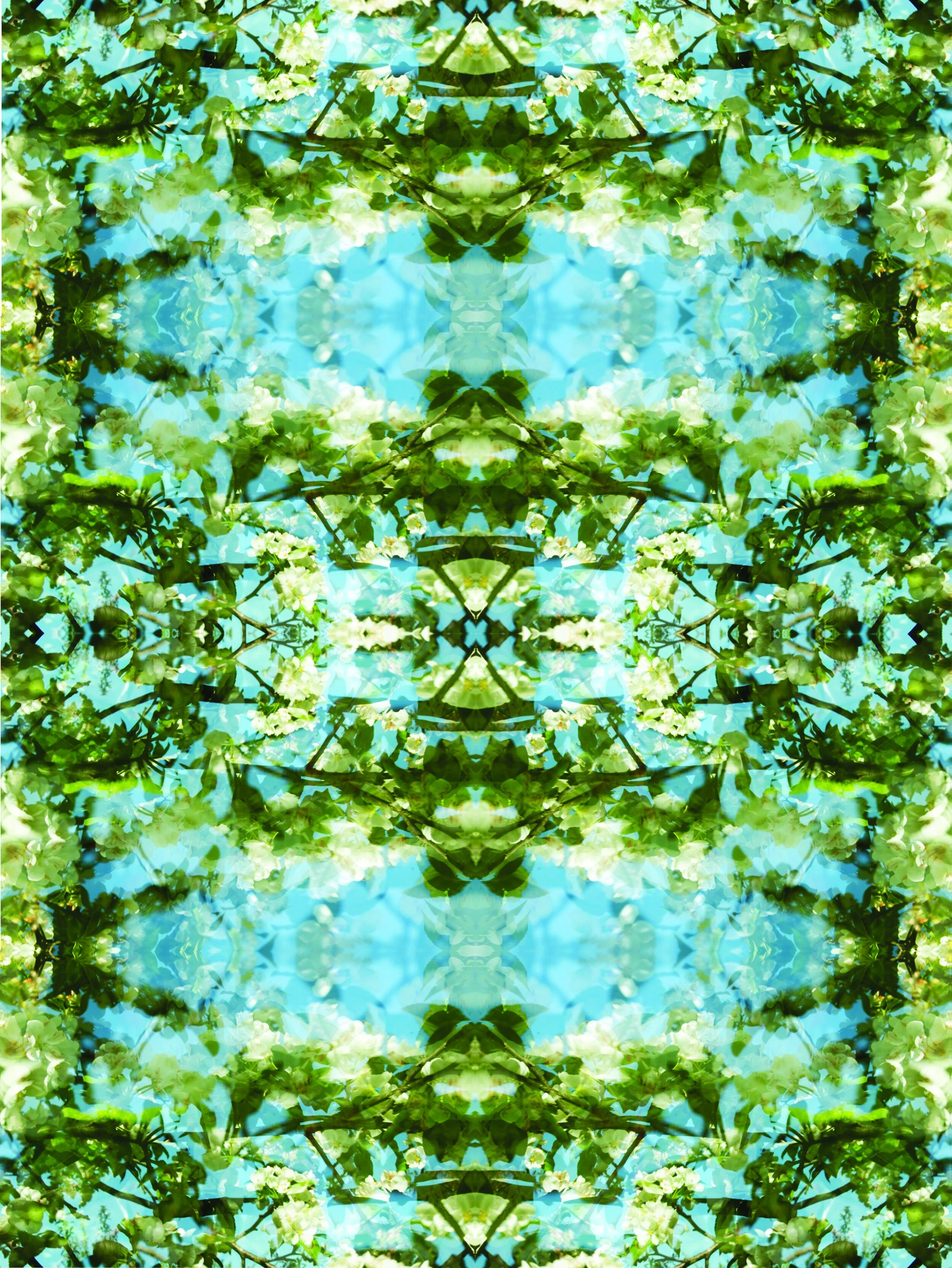 blue flower mandala.jpg