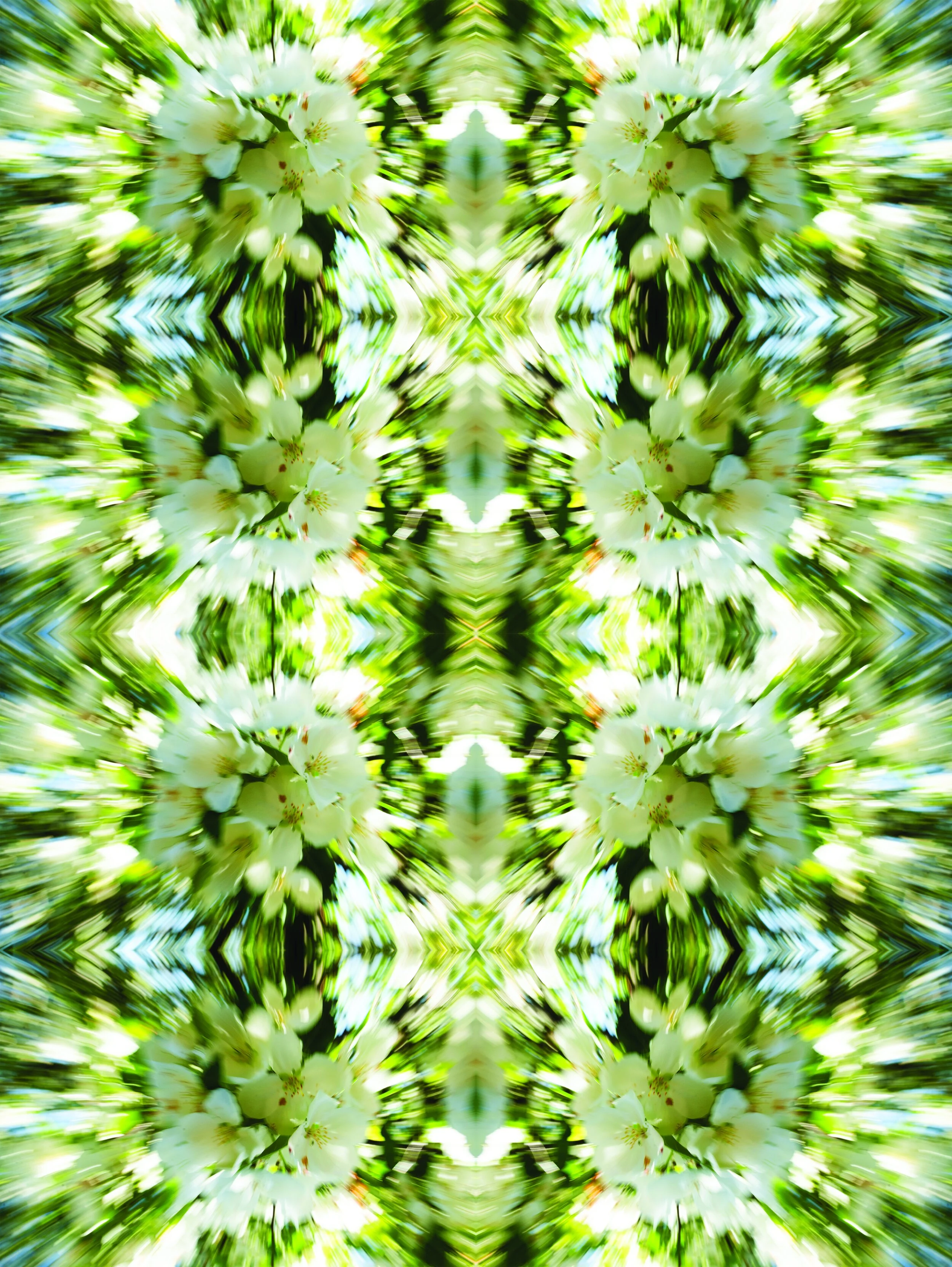 WHITE FLOWERS MANDALA.jpg