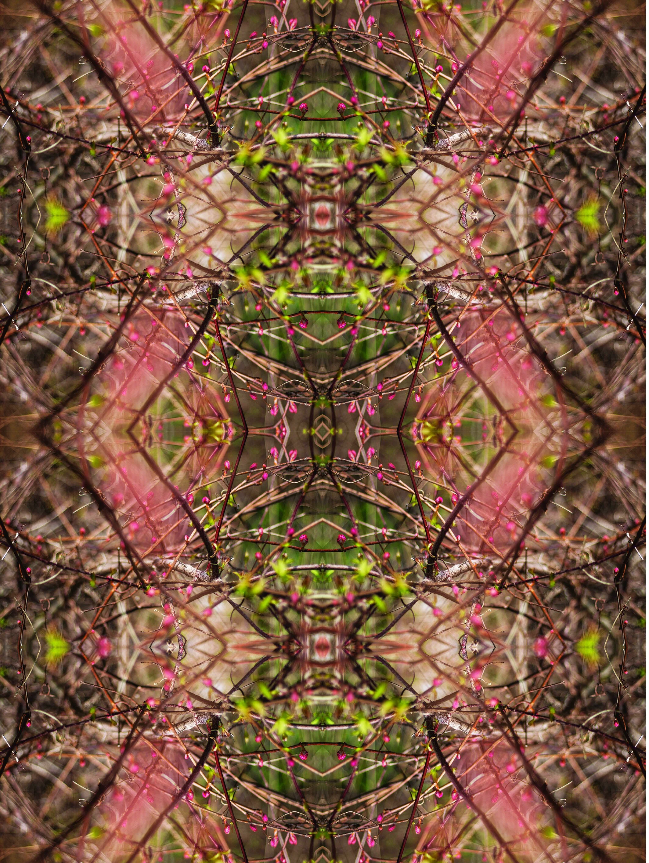bittersweetmandala_2 copy.jpg