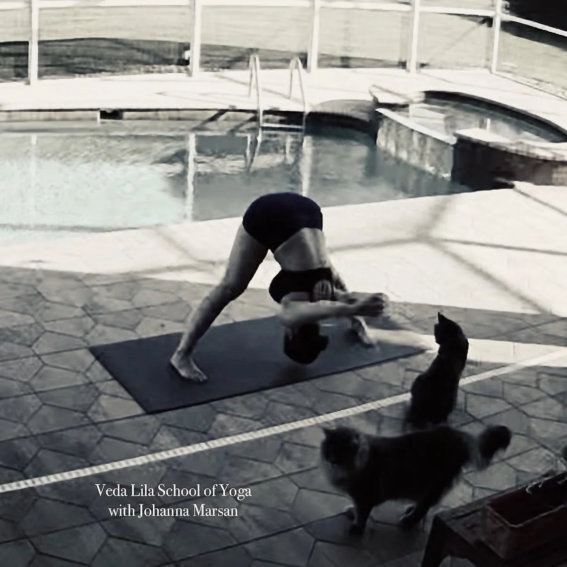 Live, Love, Yoga 💕

Free Community Yoga Class weekly at the Whispering Pines Recreation Building.  Tuesday evenings, 5:50-7:05pm.  This Beginner/Intermediate class is an active and joyful class filled with happy yogis who are always welcoming.  Door