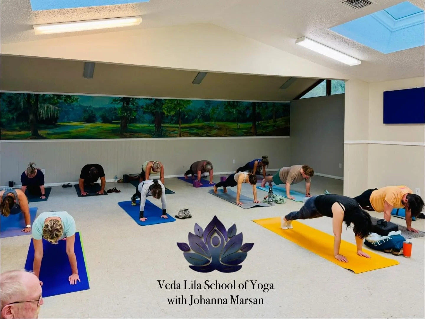 Practicing Pratyahara: bringing awareness to the breath and stillness within, while in plank pose, to transcend the physical struggle of a long held pose. 

FREE Community Yoga Class Every Tuesday at 5:50pm at the Whispering Pines Recreation Building