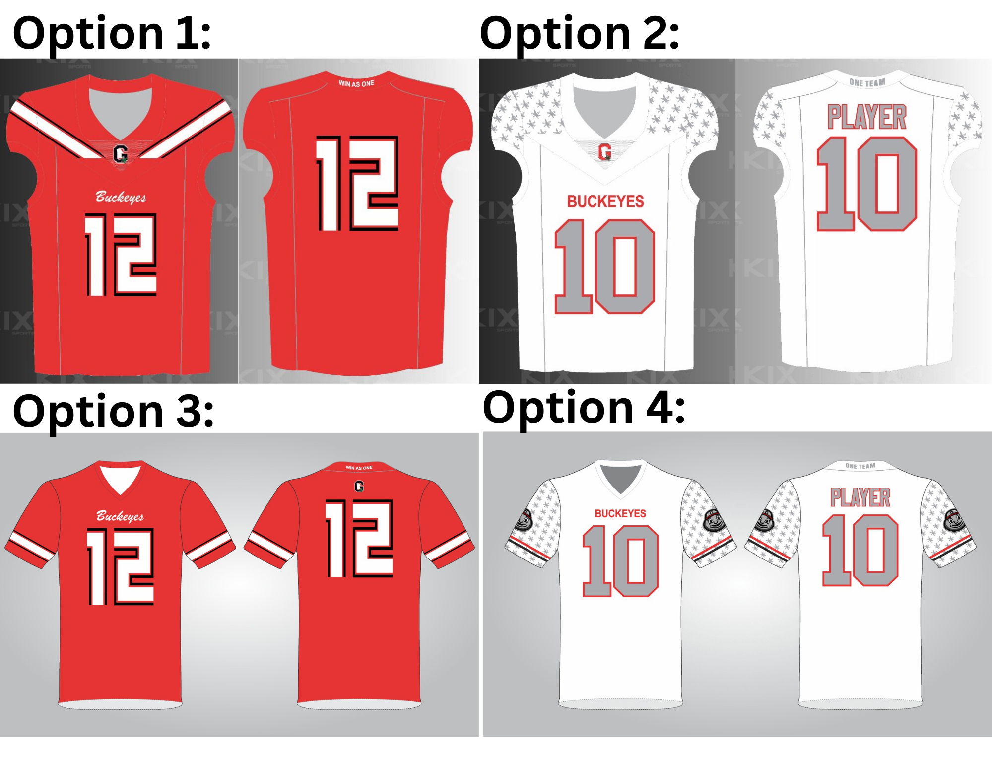 Parent Jersey Options.png