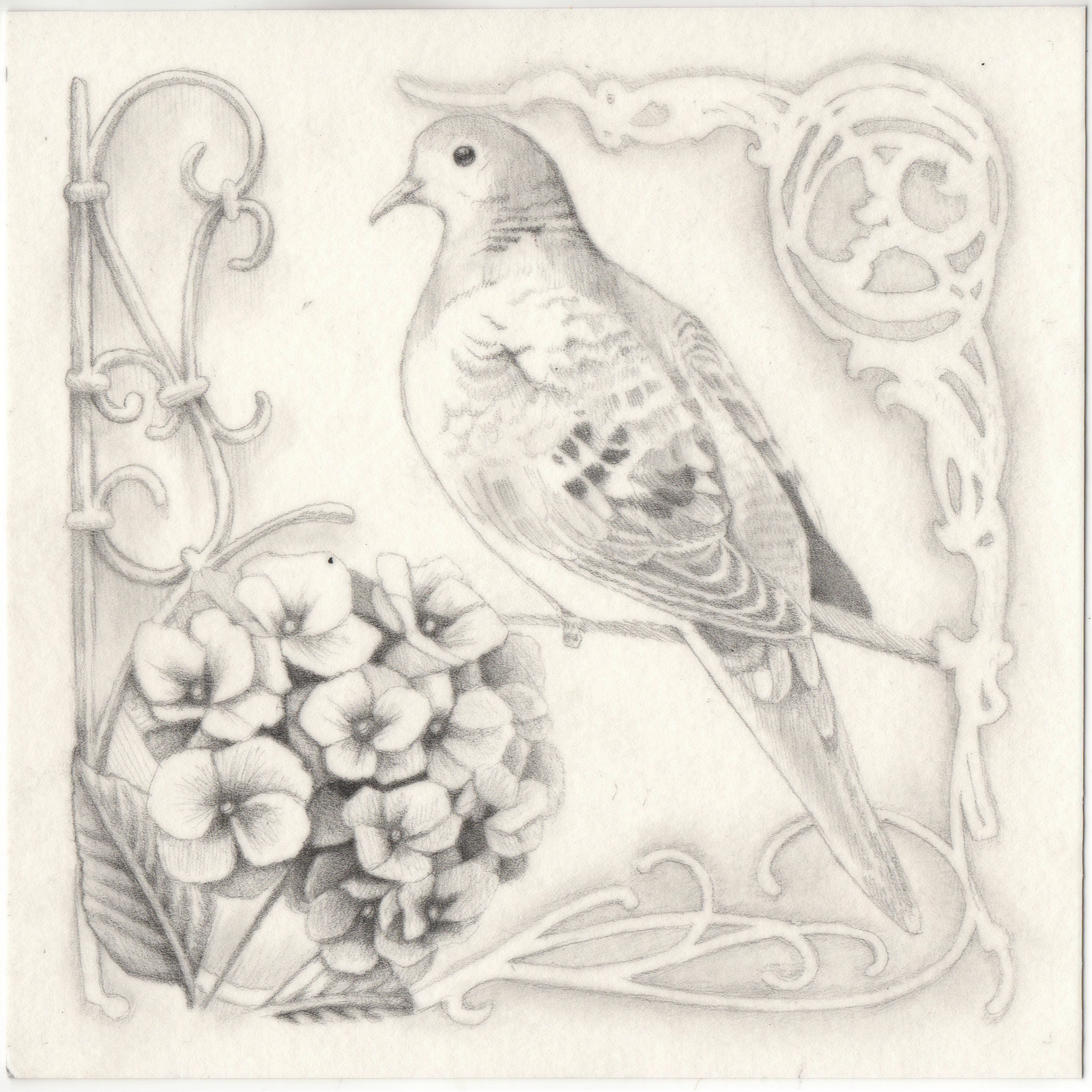 2026-9-7 grammy mourning dove.png