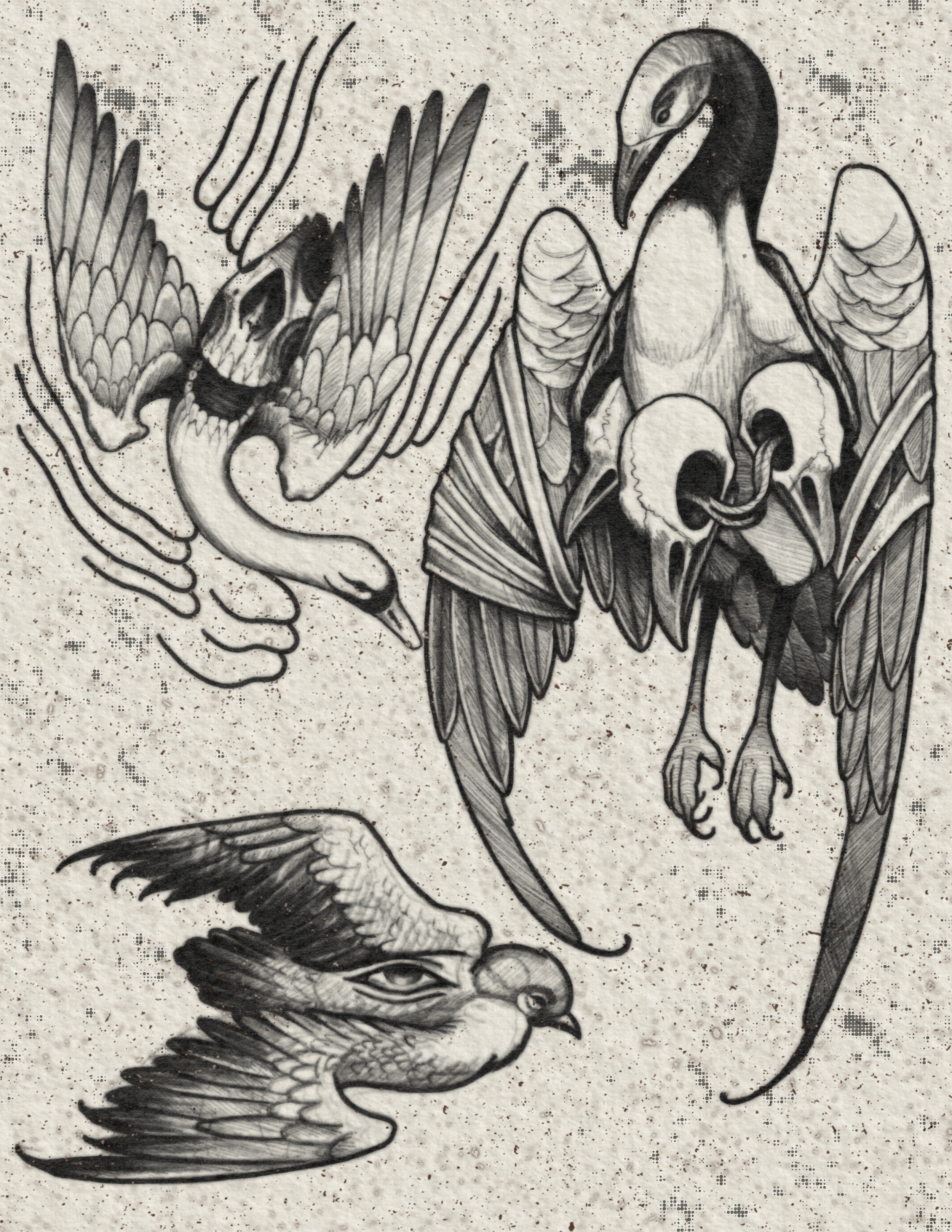 Untitled_Artwork 11.PNG