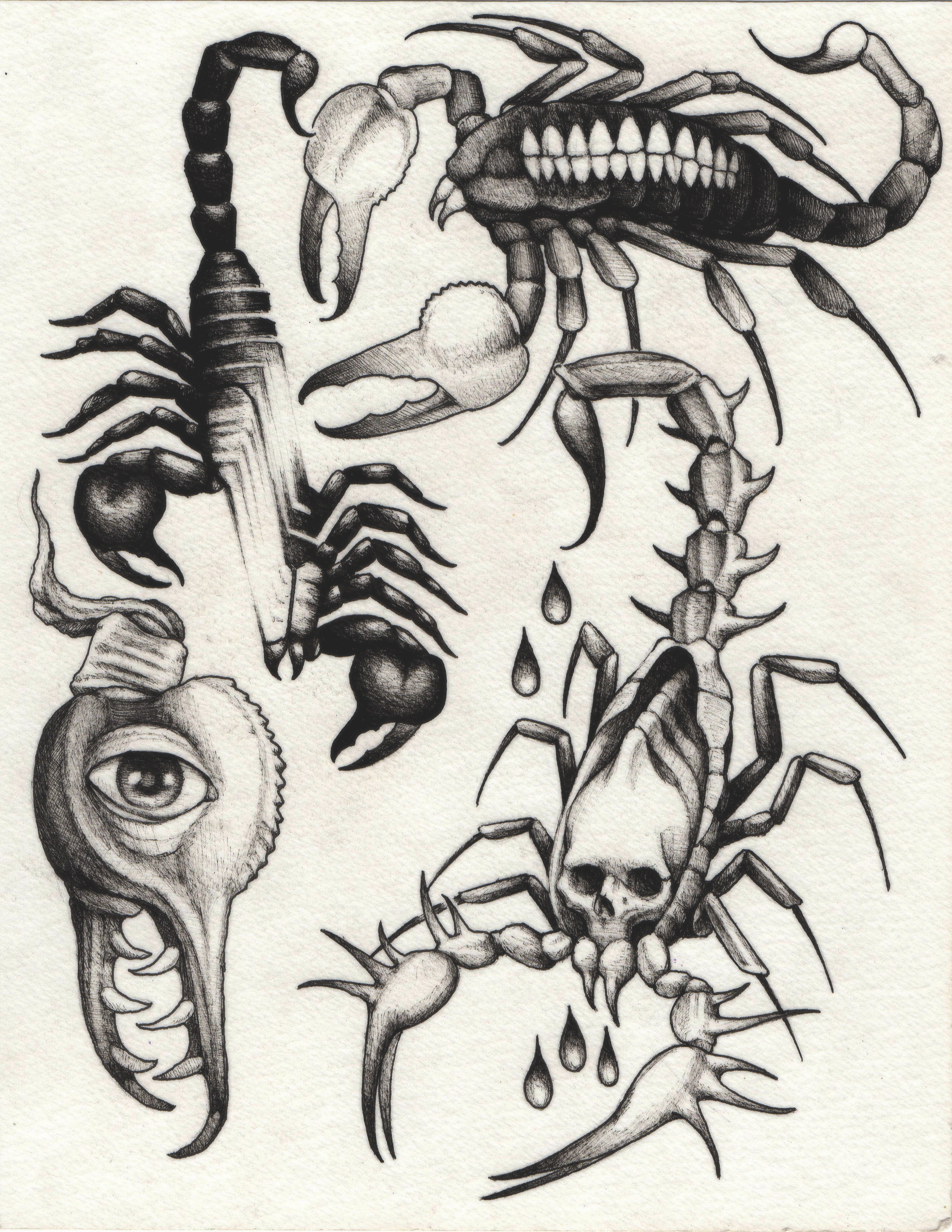 2026-7-3 scorpion flash sheet.png