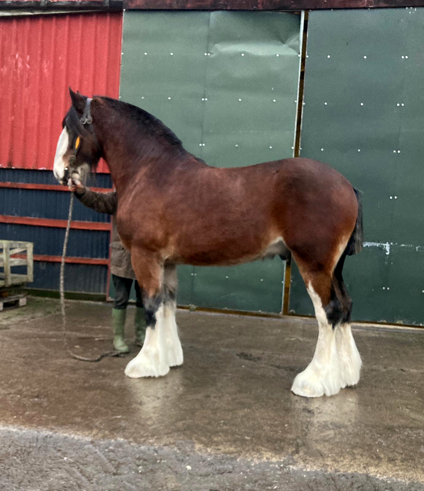 Landcliffe Enterprise