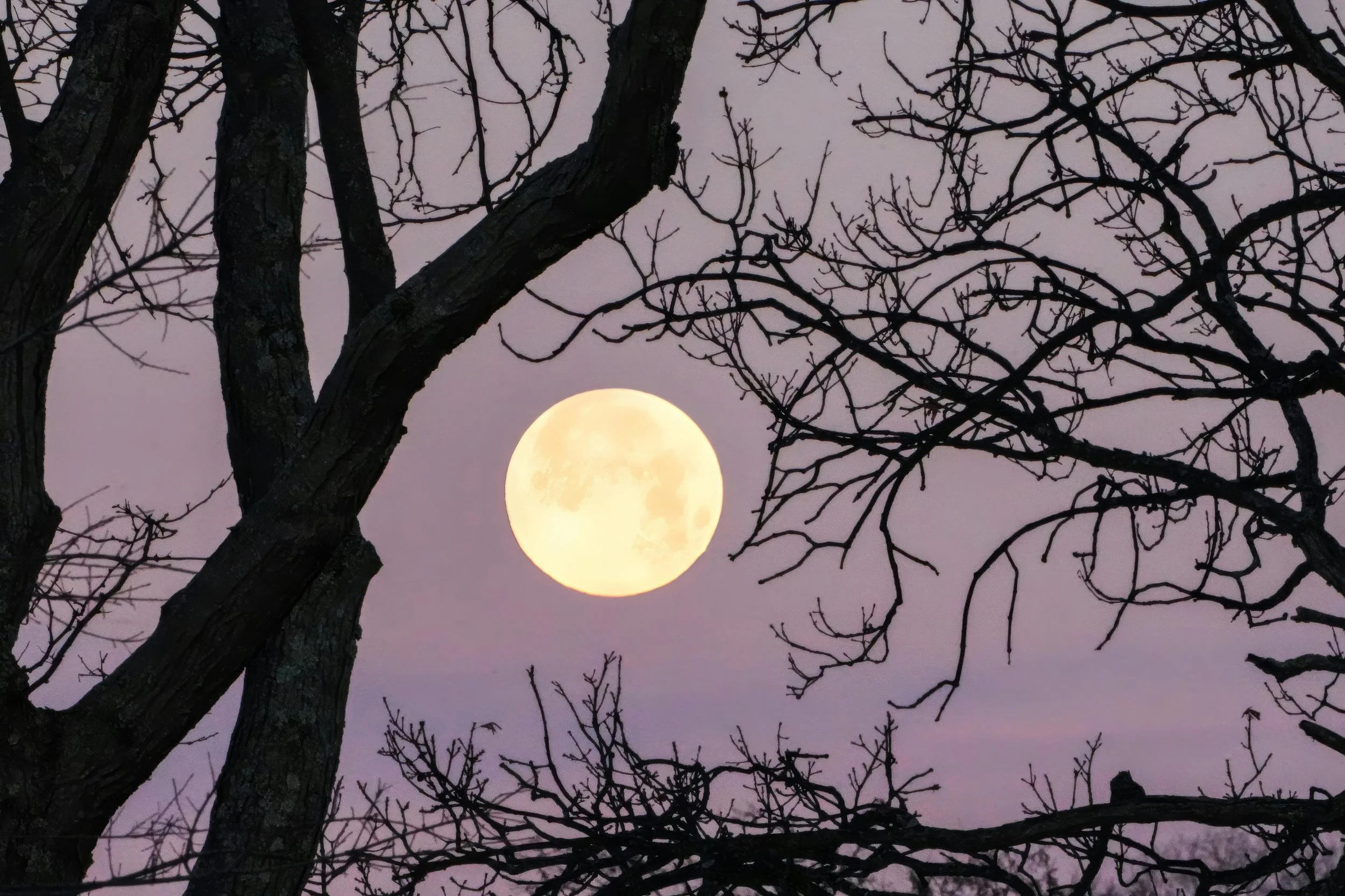 Maybe The Ancients Had It Right?