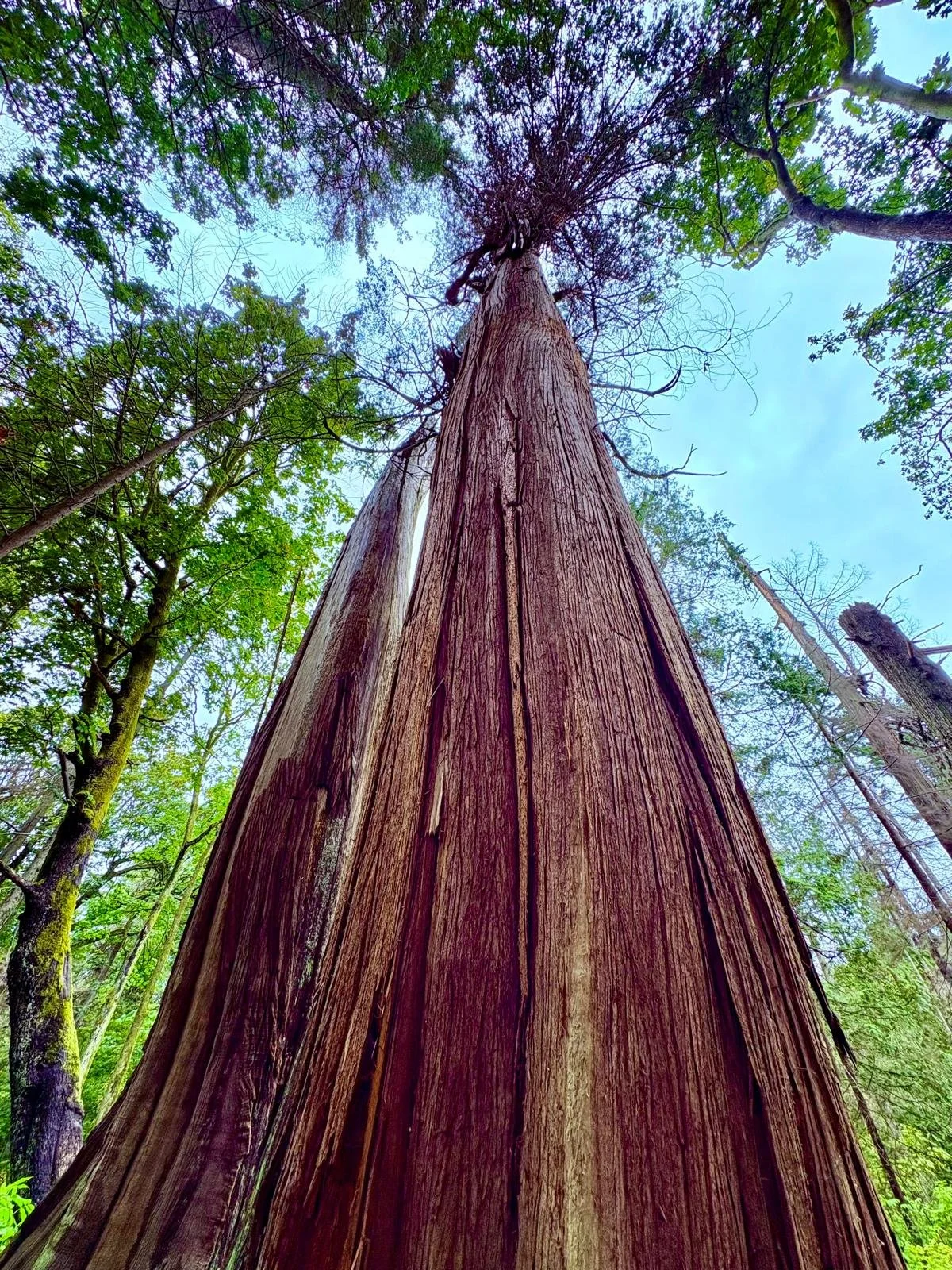 When Having a Difficult Conversation Seems Insurmountable