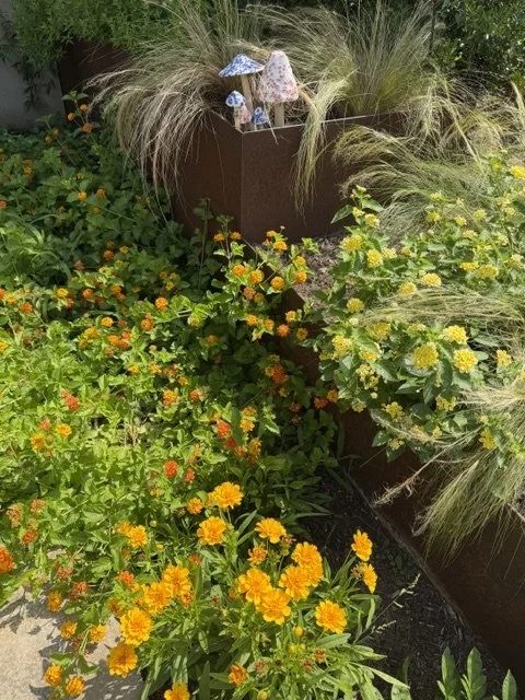 Weeding Your Mental Garden