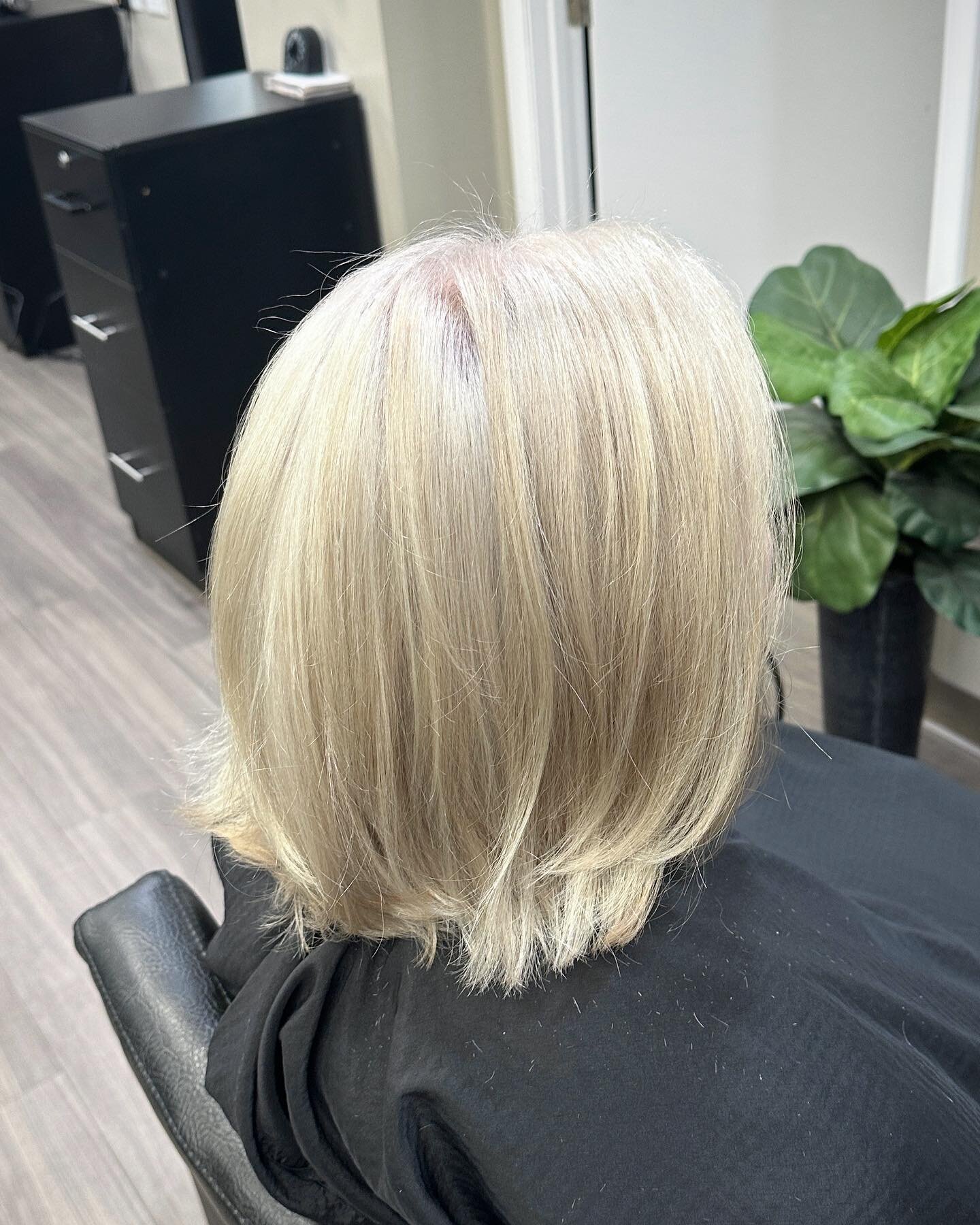First step on the journey  to match this clients natural white hair🤍
&bull;
After&gt;&gt;Before
&bull;
We call it a journey because it can be unpredictable how the hair will lift from years of dye hiding under the surface color
&bull;
SUPER happy wi