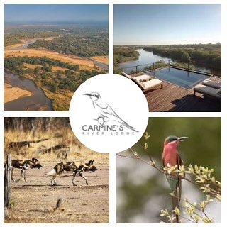 Delighted to share that Umlingo has its first client in Zambia! 

Carmines River Lodge launches in Zambia&rsquo;s South Luangwa in June 2026! 

#CarminesRiverLodge #SouthLuangwa #Zambia 

Read more on Travelling For Business
https://travellingforbusi