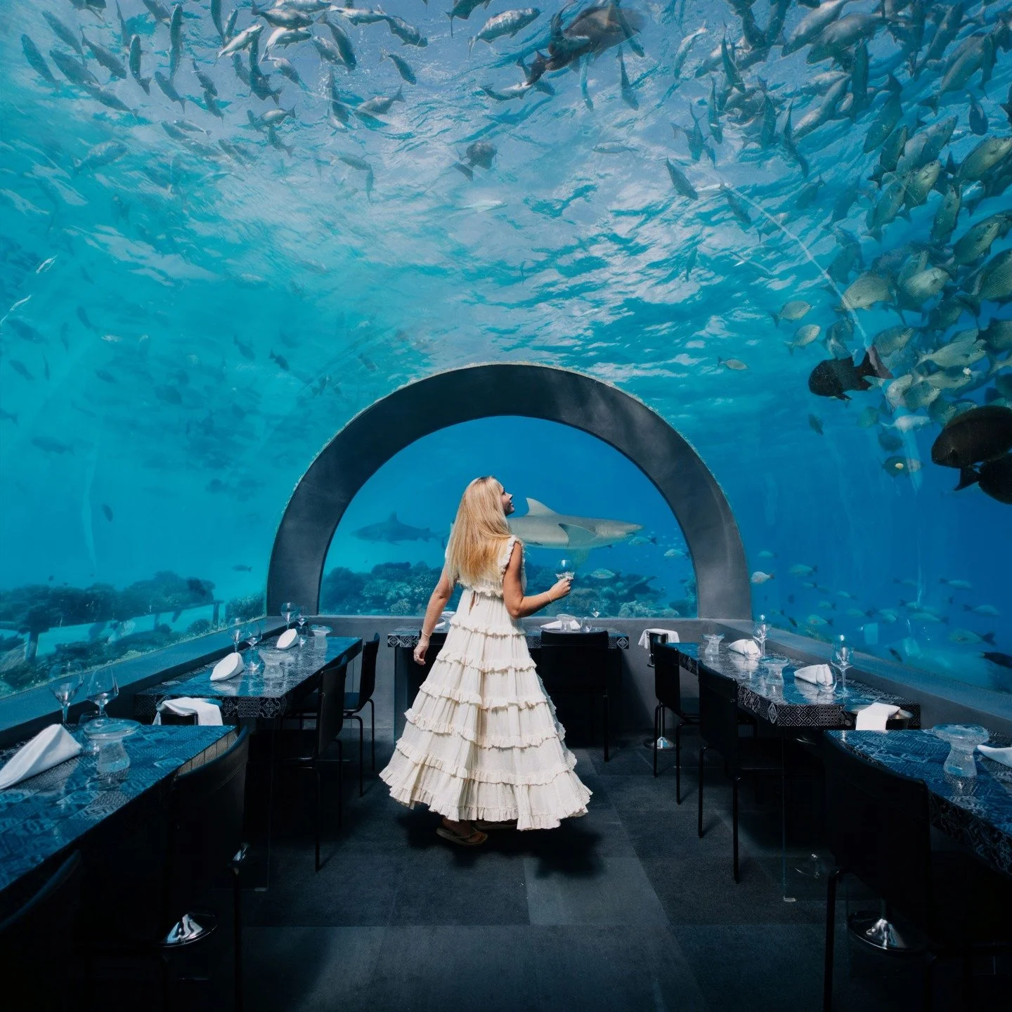 The Cocoon Collection will be proudly hosting three exclusive gastronomy events during ILTM Cannes on the French Riviera from 2 - 4 December 2025 &ndash; showcasing the art of Italian cuisine, sustainability, and a deep passion for authentic flavours