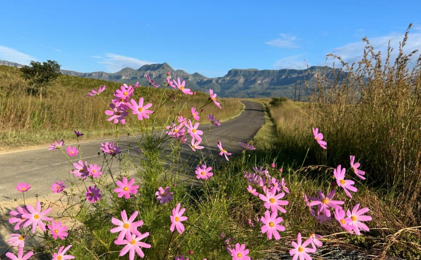 The Cavern Specialist Weekends