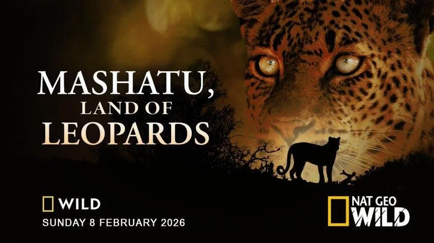 Add to Watchlist … Mashatu: Land of Leopards