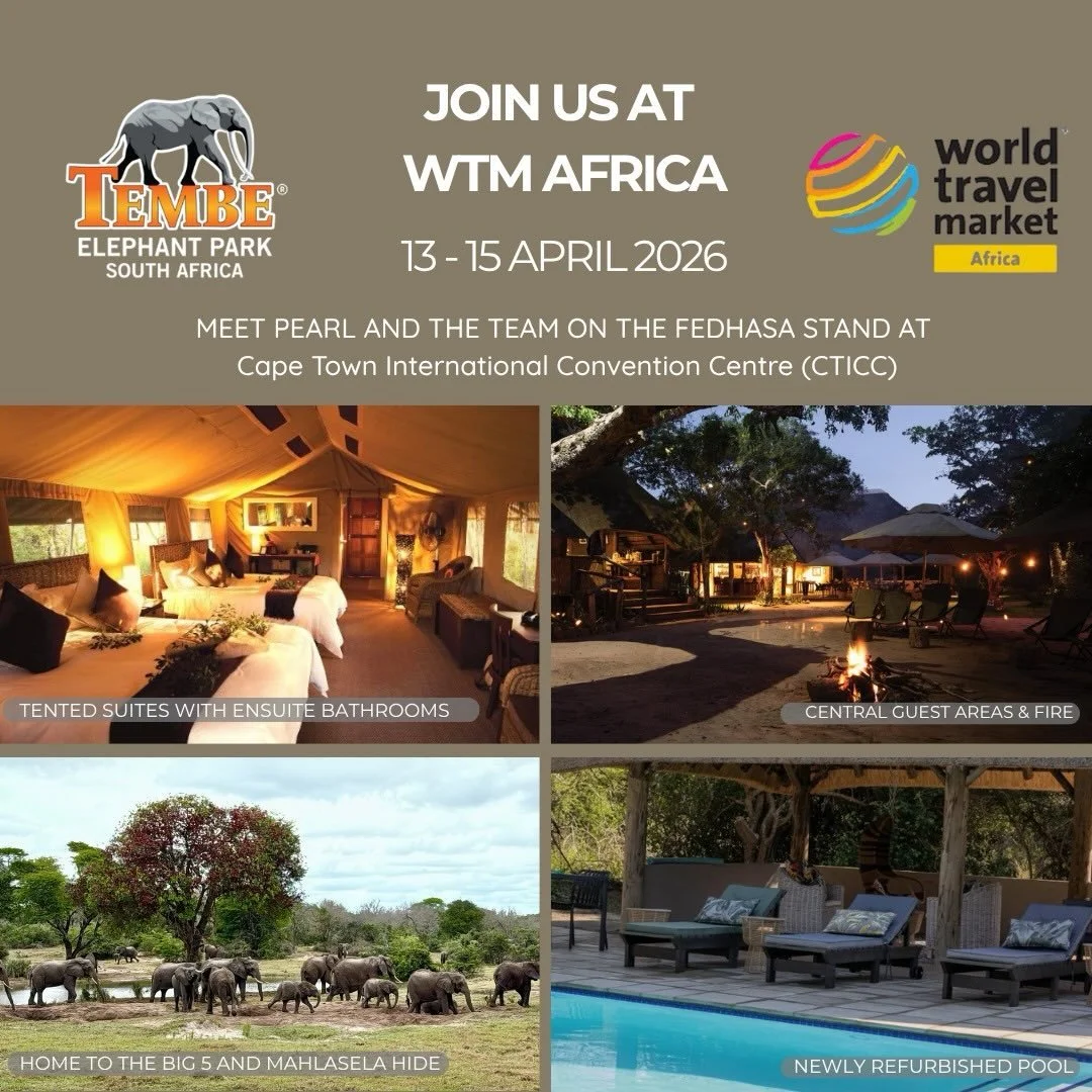 Are you attending WTM Africa? If so be sure to book a meeting with Pearl and the team at Tembe Elephant Park  on the FEDHASA stand. 

I also have one place left on my post Indaba press trip so reach out if you are interested.