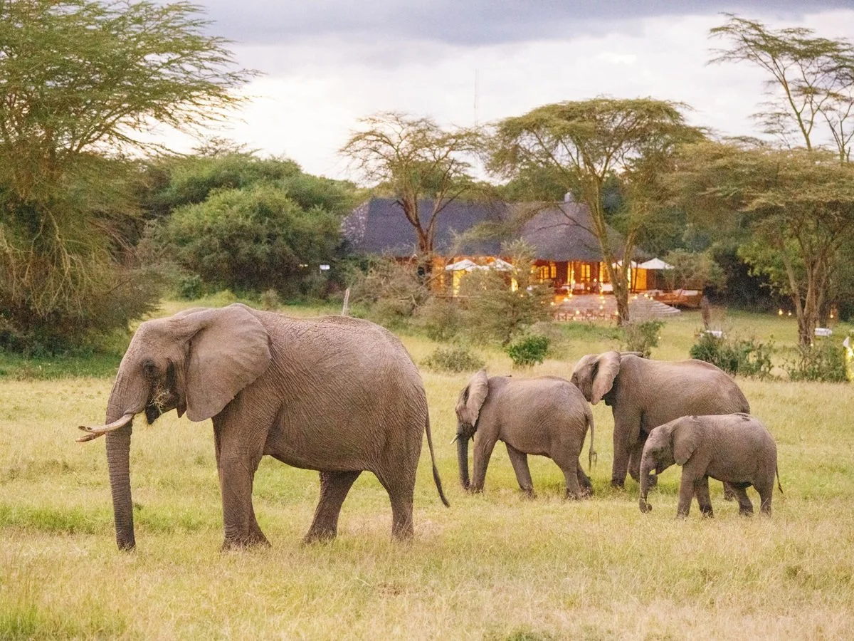 Bushtops shines with three Condé  Nast Traveler Readers Choice Awards