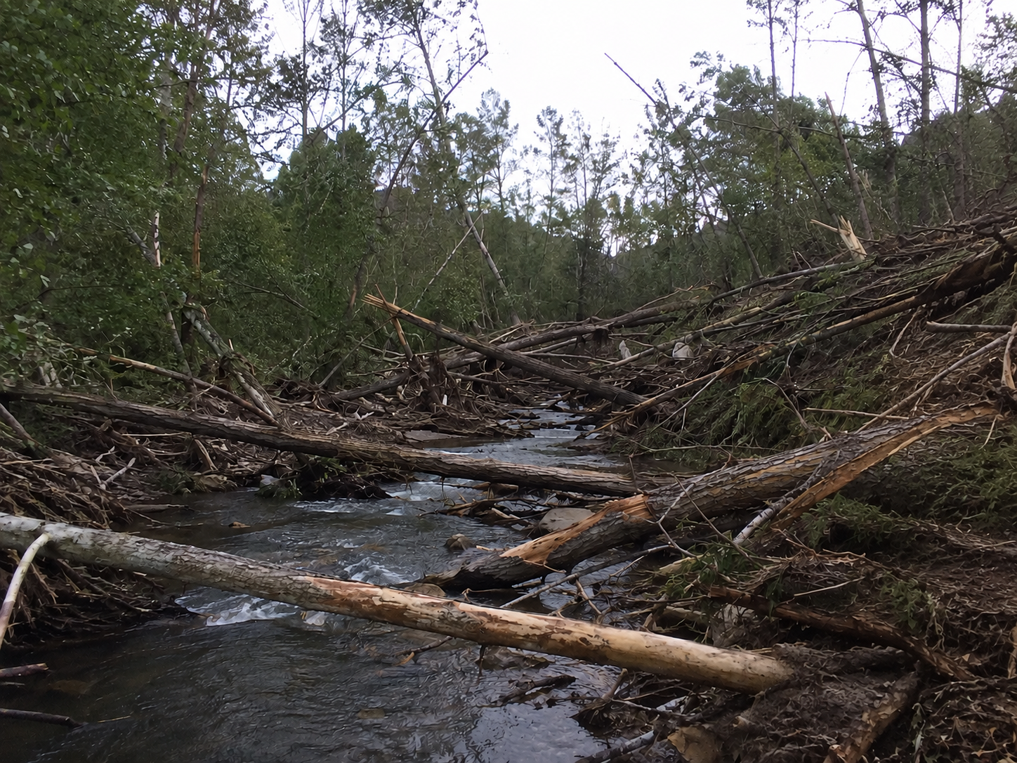Waterway debris removal services