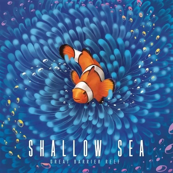 Learn + Play: Shallow Sea