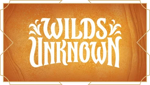 Disney Lorcana Wilds Unknown Set Championships