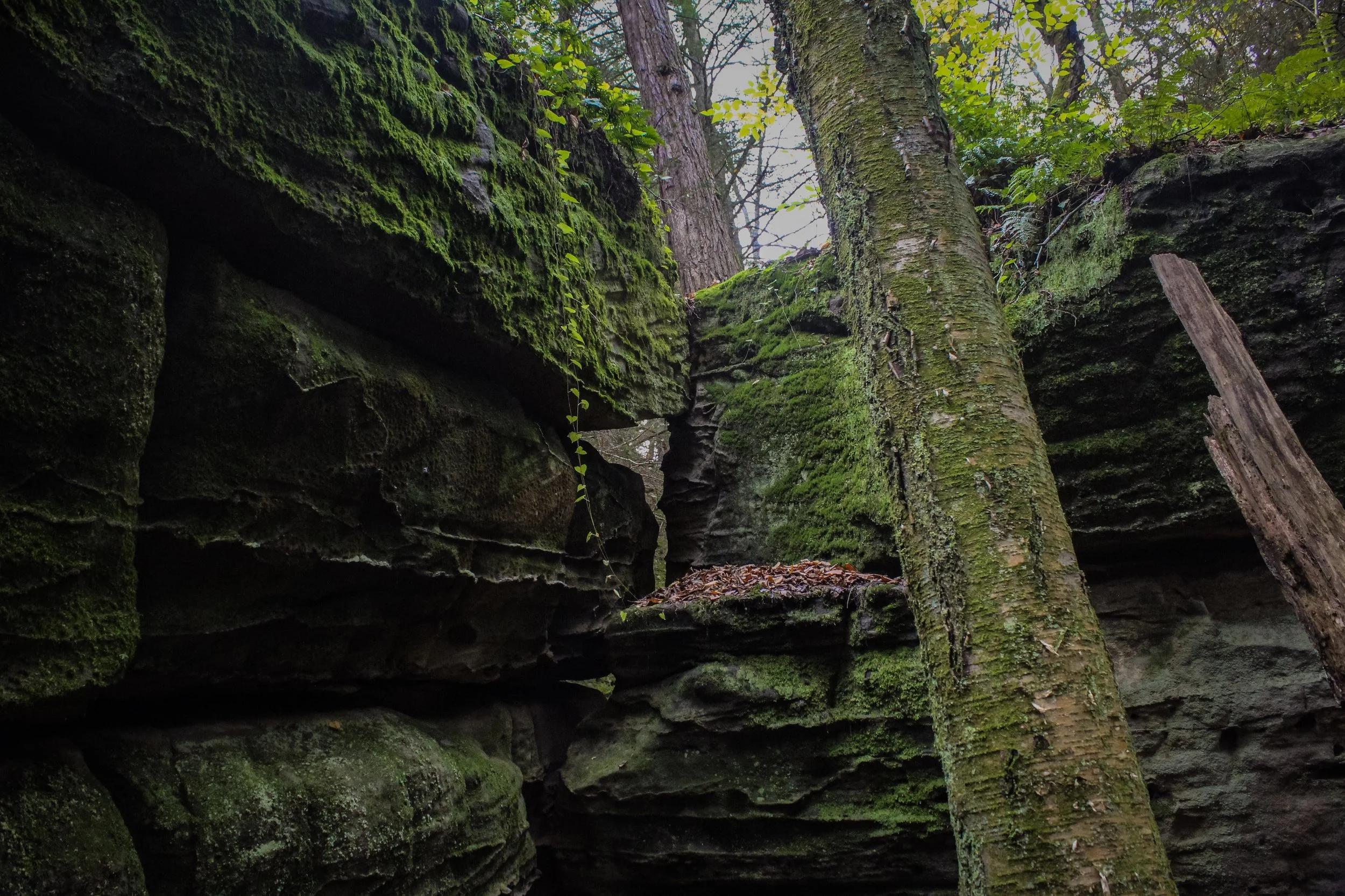 Bilger's Rocks, Grampian, PA