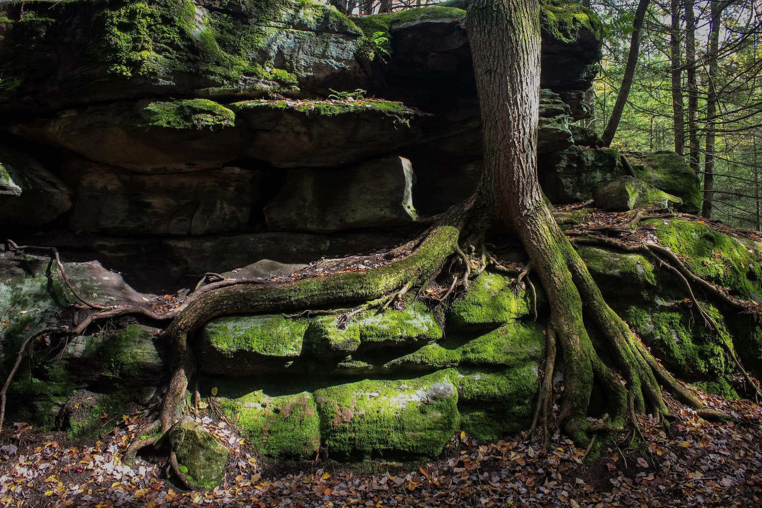 Bilger's Rocks, Grampian, PA