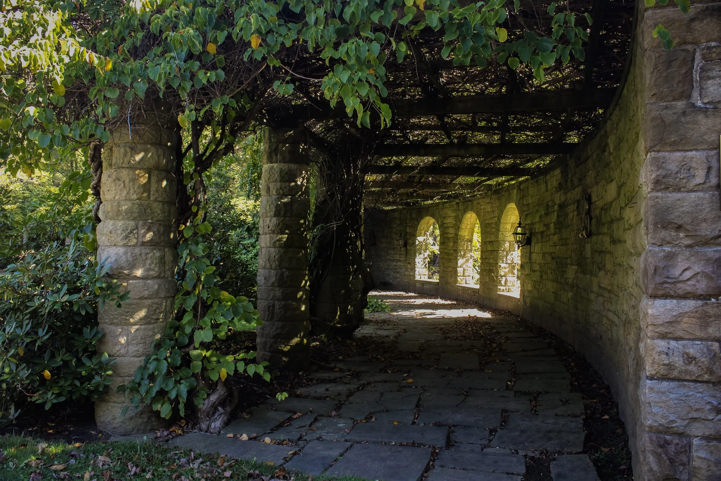 Archways at Mount Assisi Gardens, capturing the light