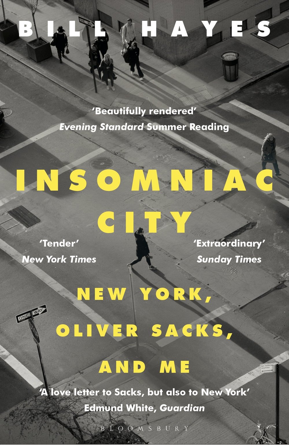 Insomniac City by Bill Hayes.jpeg