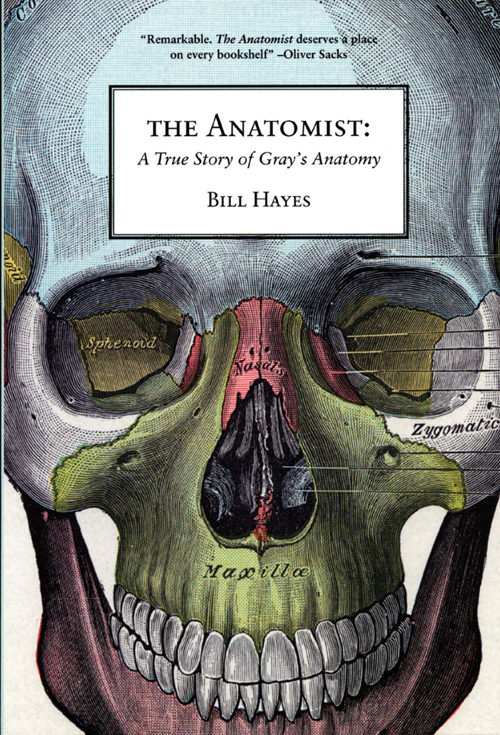 The Anatomist by Bill Hayes.jpeg