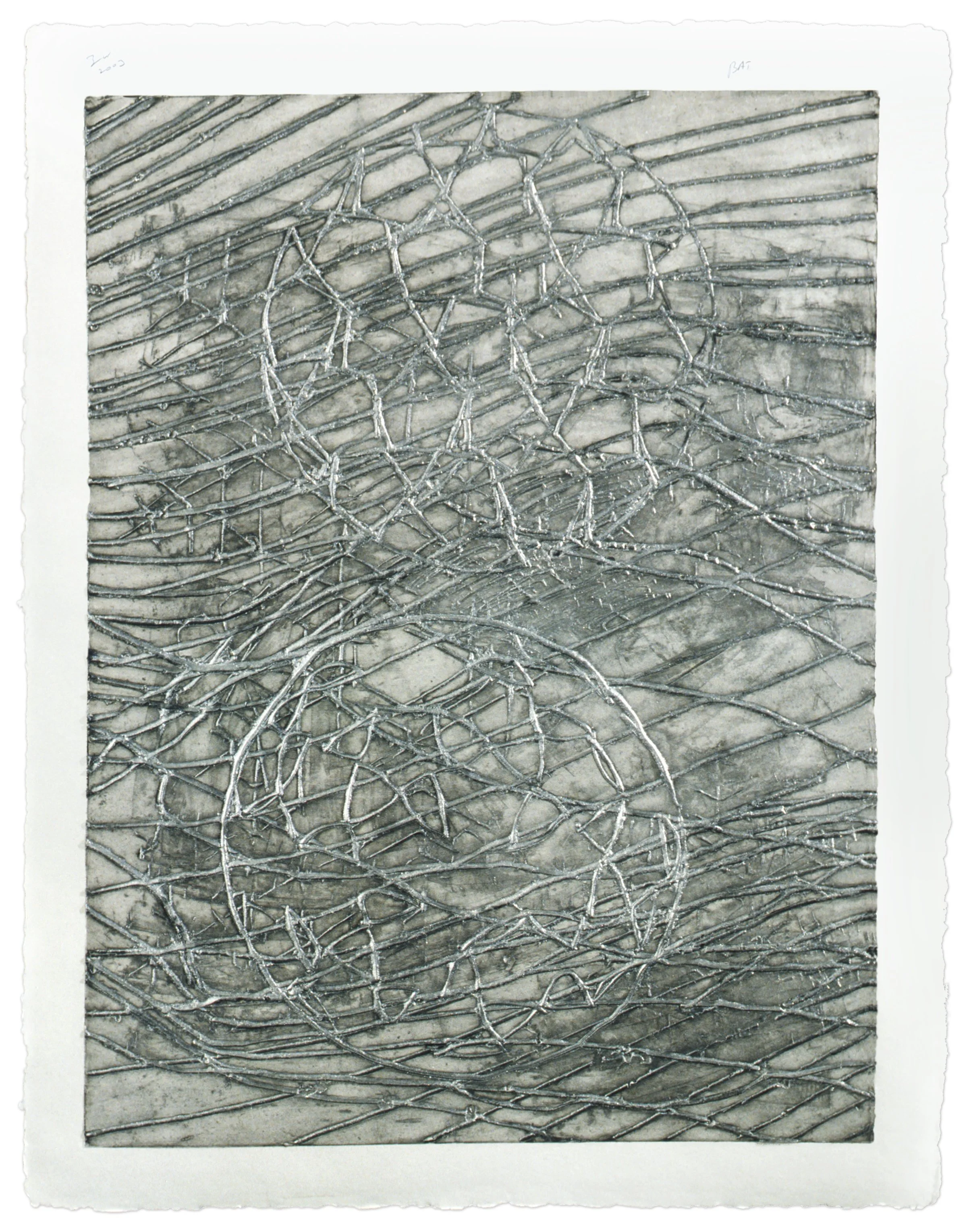 Metal Virus, 2003
Mixografia on handmade paper
37 x 29 inches