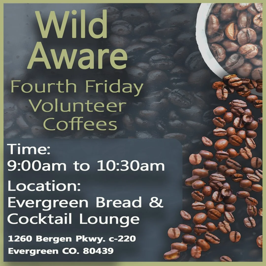 Wild Aware “Fourth Friday” Volunteer Coffees