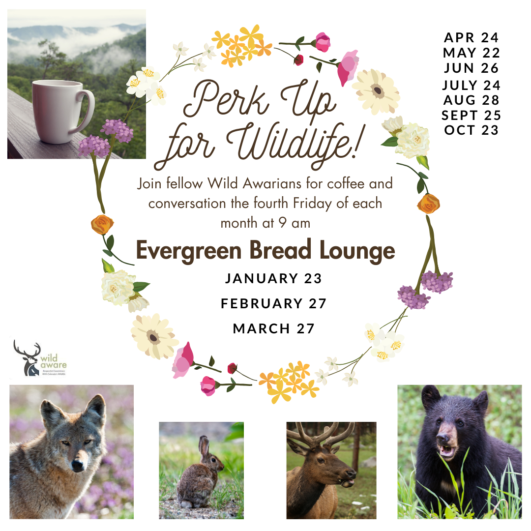Wild Aware “Fourth Friday” Volunteer Coffees