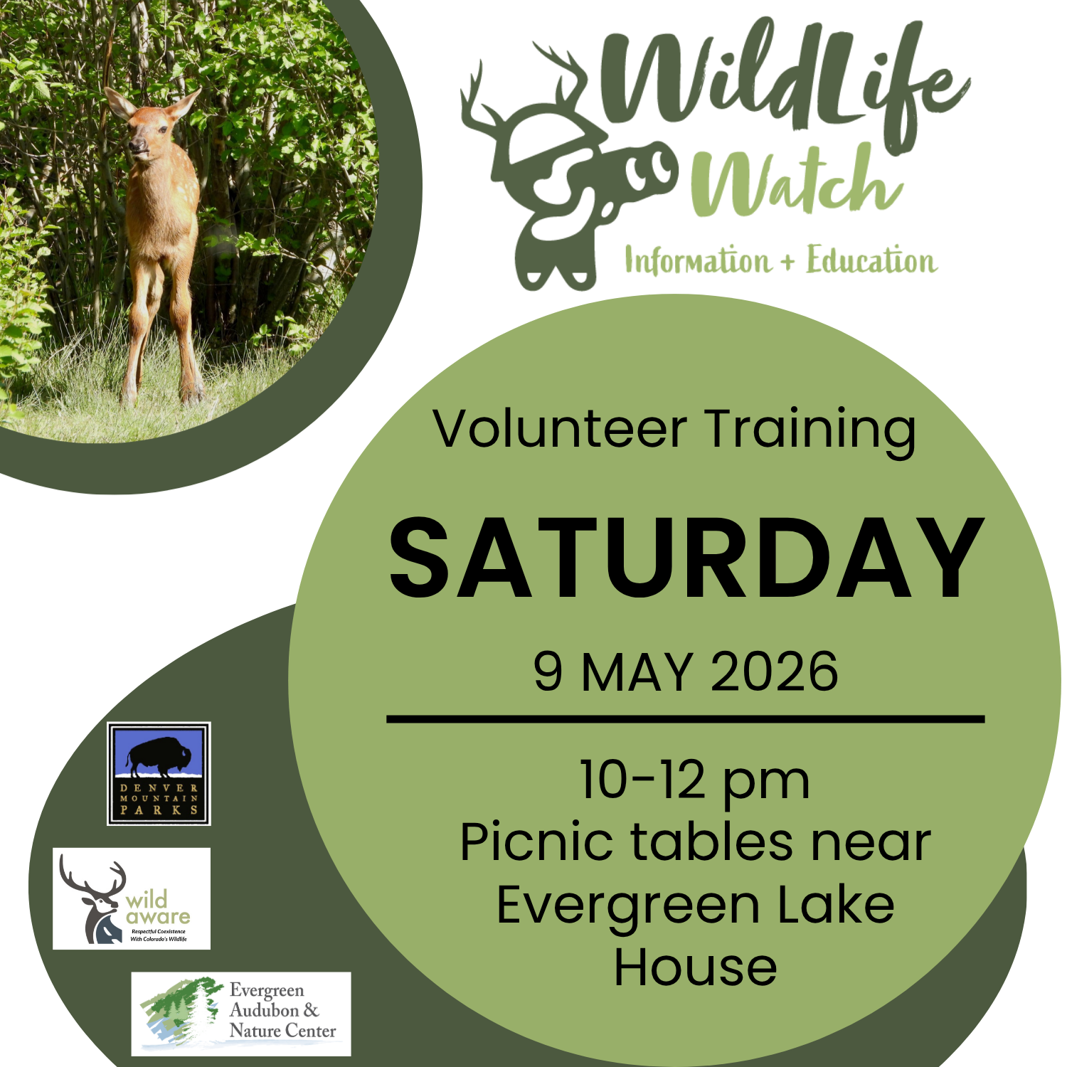 Wildlife Watch Training