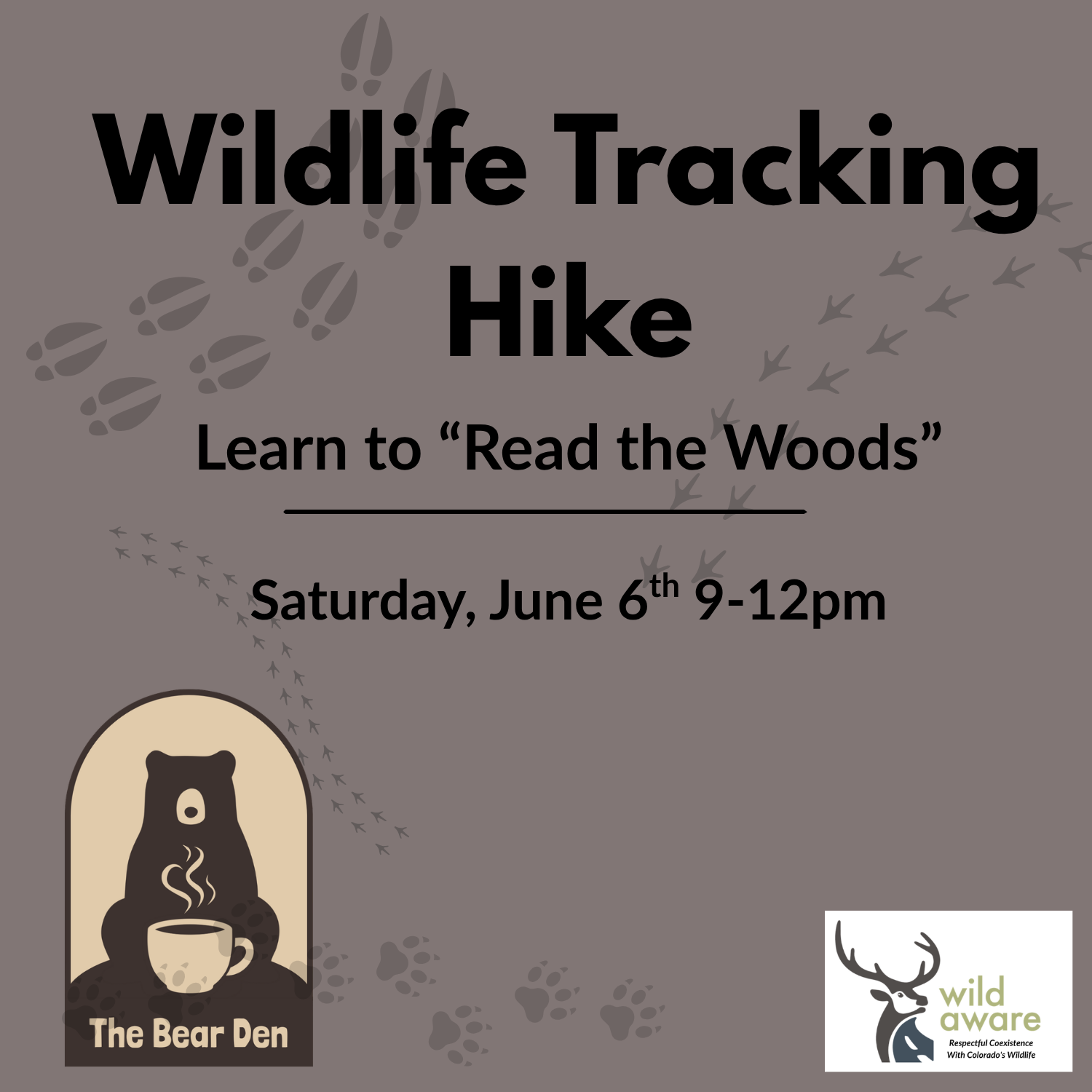 Bear Den Wildlife Tracking Hike
