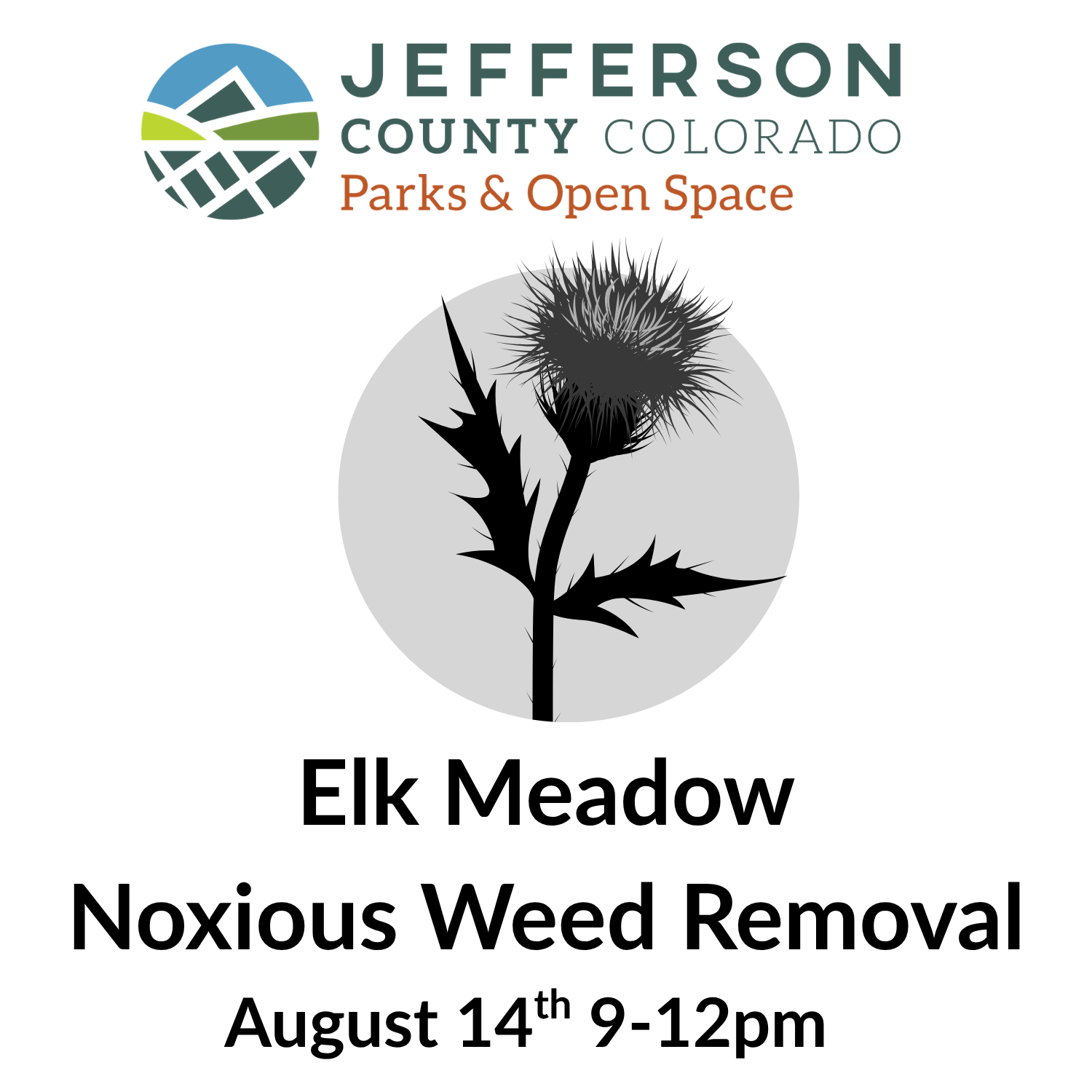 Elk Meadow Noxious Weed Removal