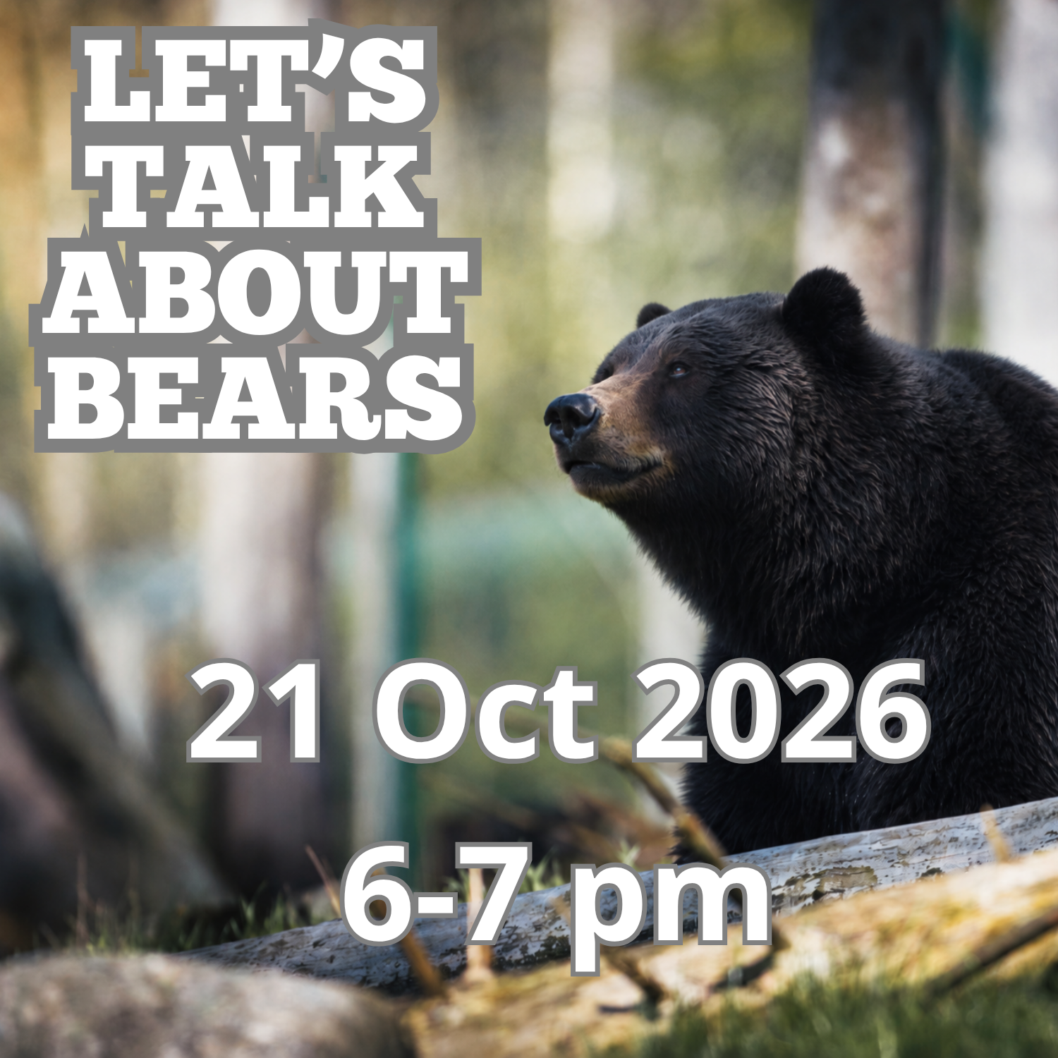 Let's Talk About Bears!